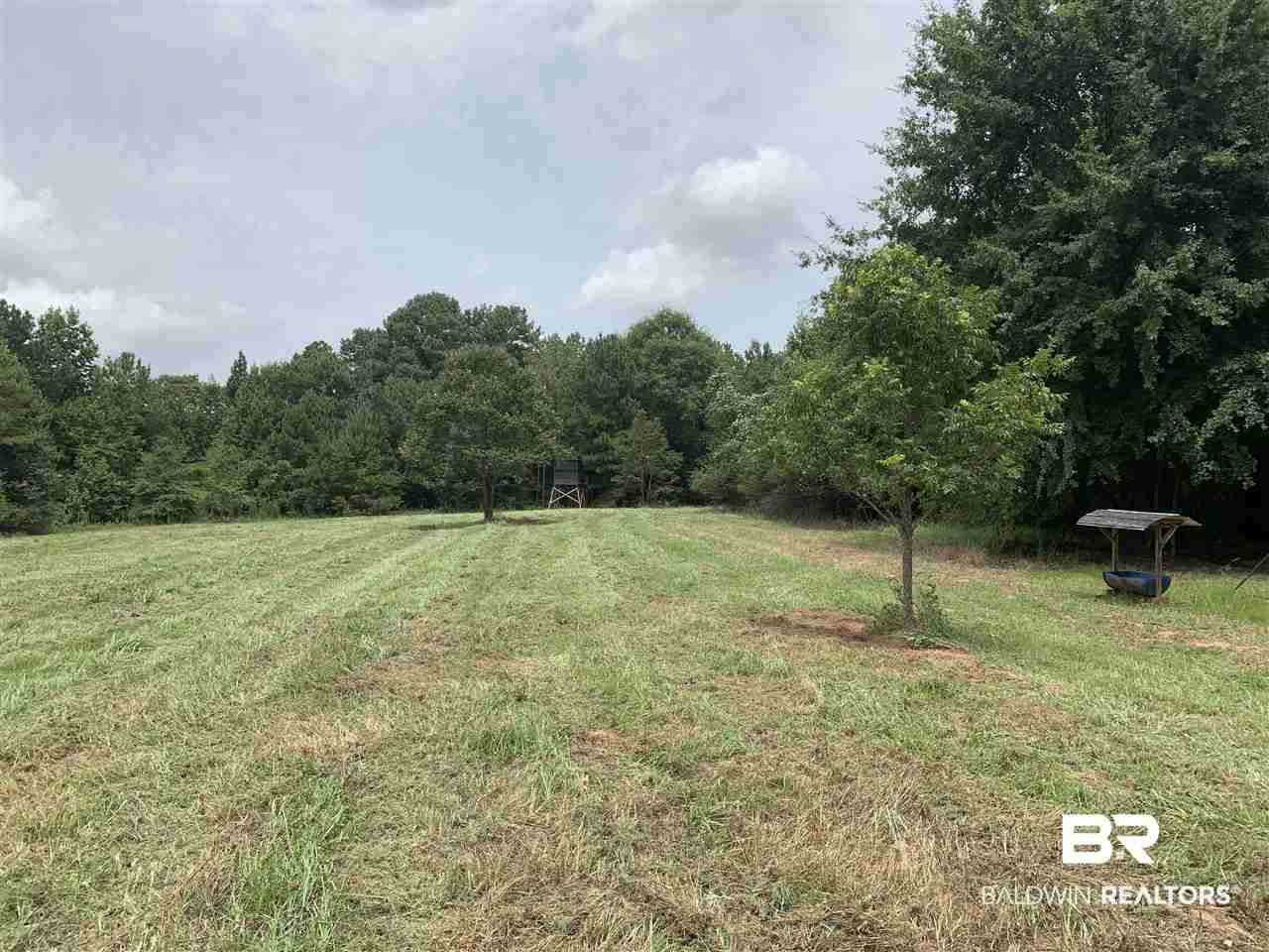 1178 Dry Lake Road Luverne, AL 36049 - Photo 9 of 50