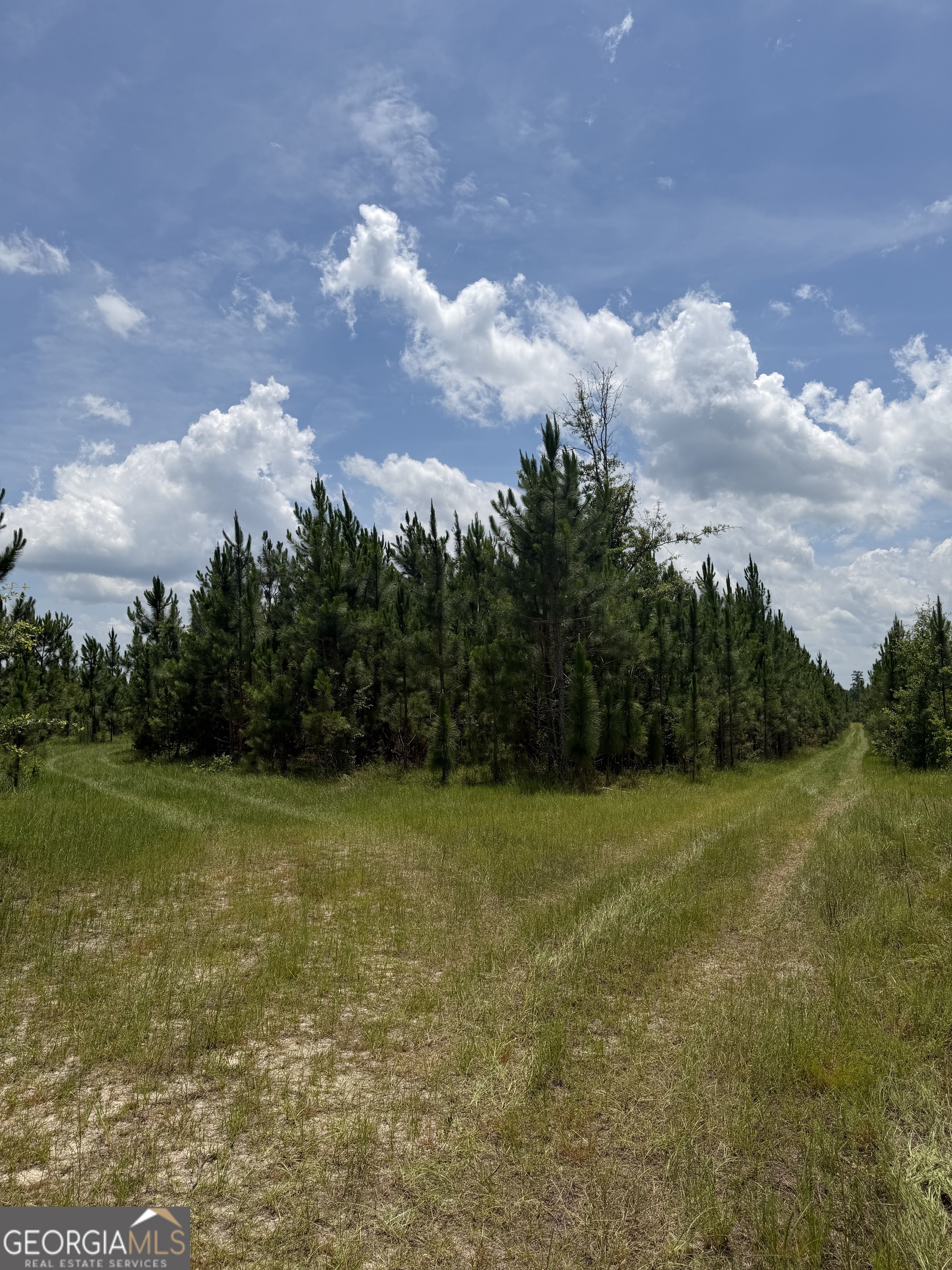 0 West River Road Rhine, GA 31077 - Photo 18 of 31