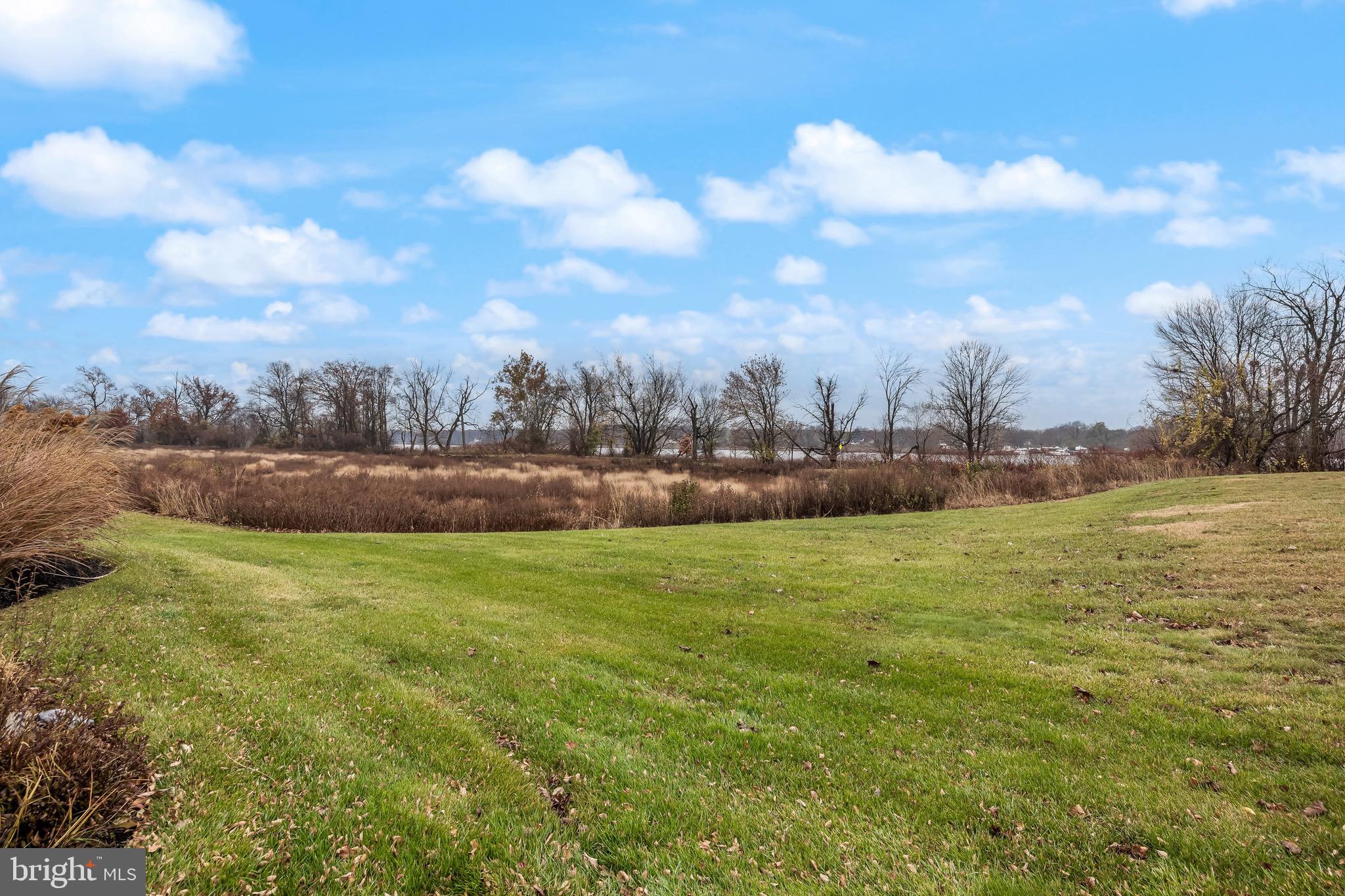 77 Pennington Court Delanco, NJ 08075 - Photo 40 of 46 a view of a big yard