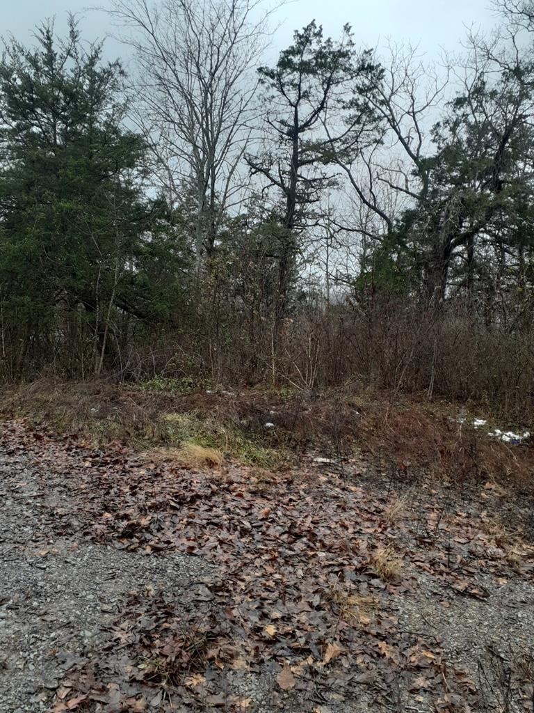 0 Ridge Road Sevierville, TN 37862 - Photo 5 of 11