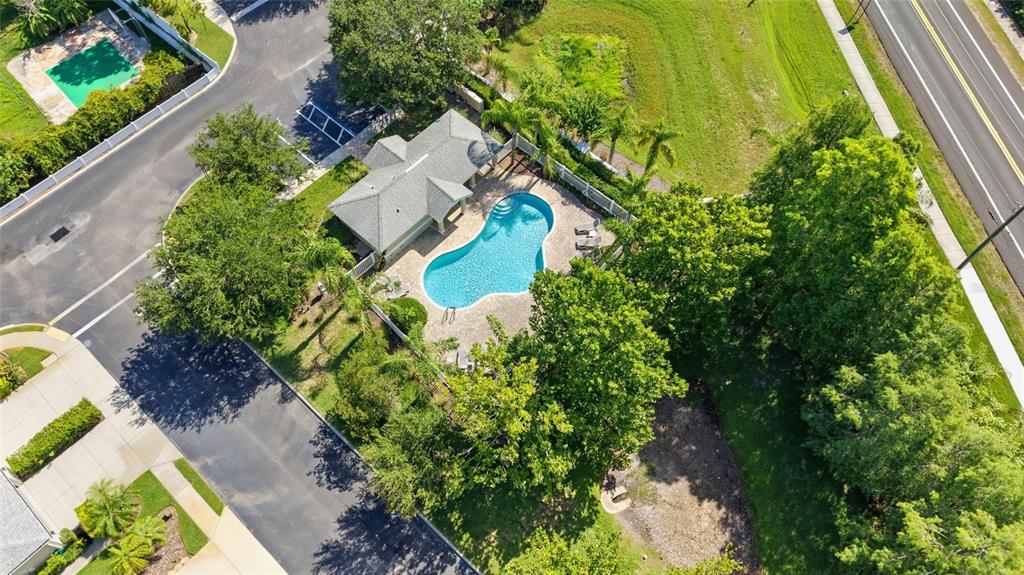 485 Harbor Ridge Drive Palm Harbor, FL 34683 - Photo 38 of 46