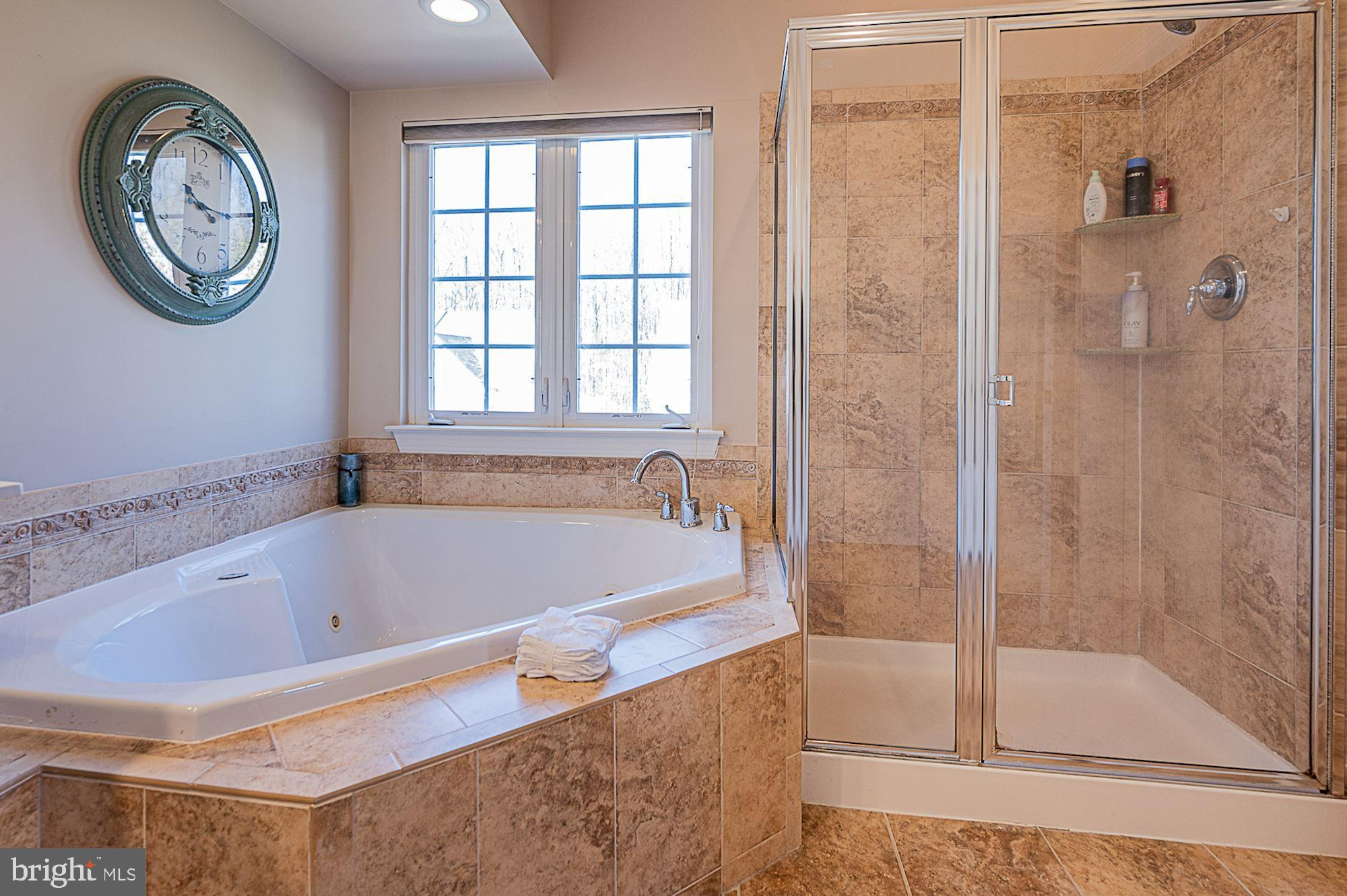 9825 Kraft Hill Road Perry Hall, MD 21128 - Photo 31 of 52 Primary Bedroom Suite Bath