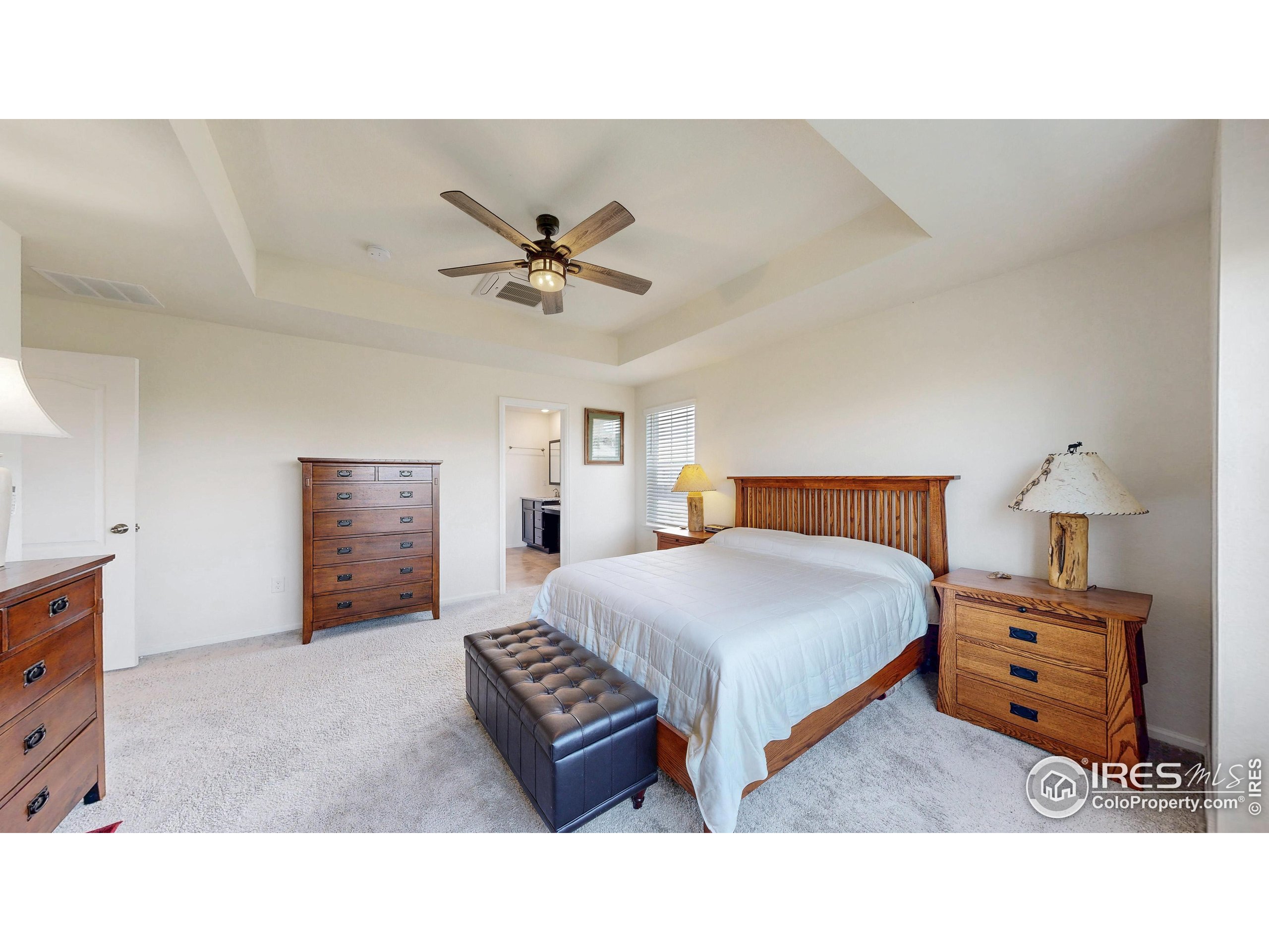 4861 St Vrain Road Firestone, CO 80504 - Photo 18 of 43 a living room with furniture and a lamp