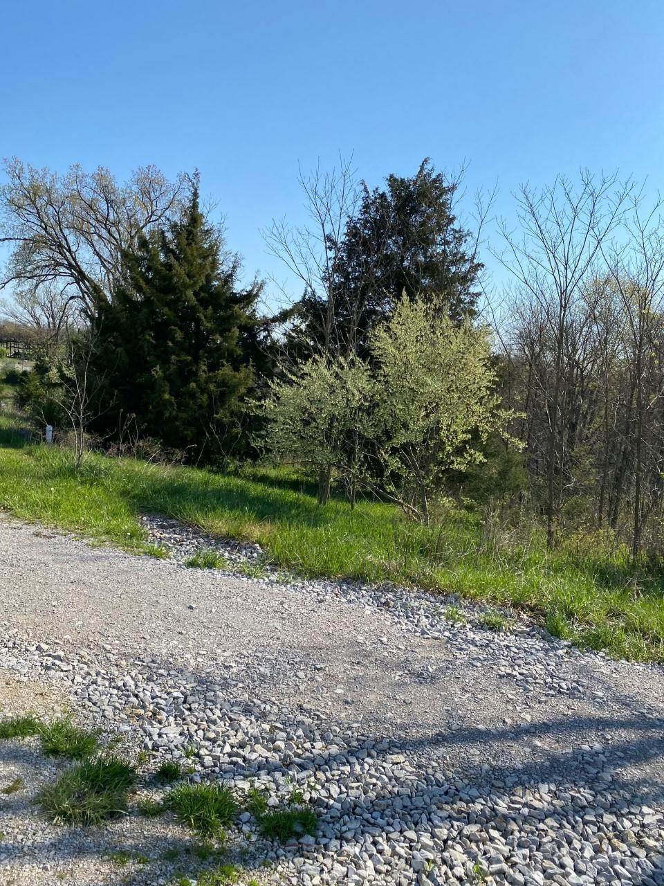 719 Double Culvert Road Georgetown, KY 40324 - Photo 5 of 7 Frt View