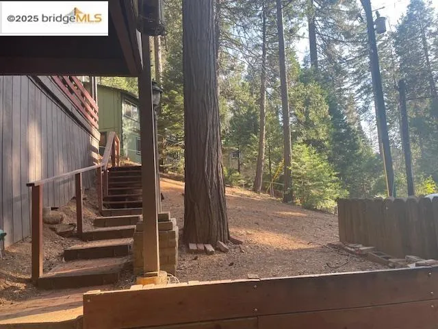 a view of a backyard with large tree