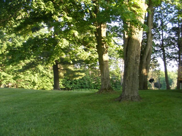9658 East 48 Road Cadillac, MI 49601 - Photo 37 of 86 1818704-36.JPG