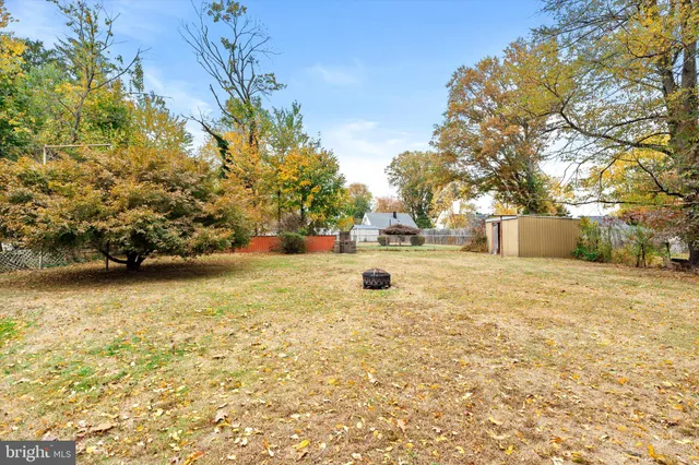 a view of yard with tree