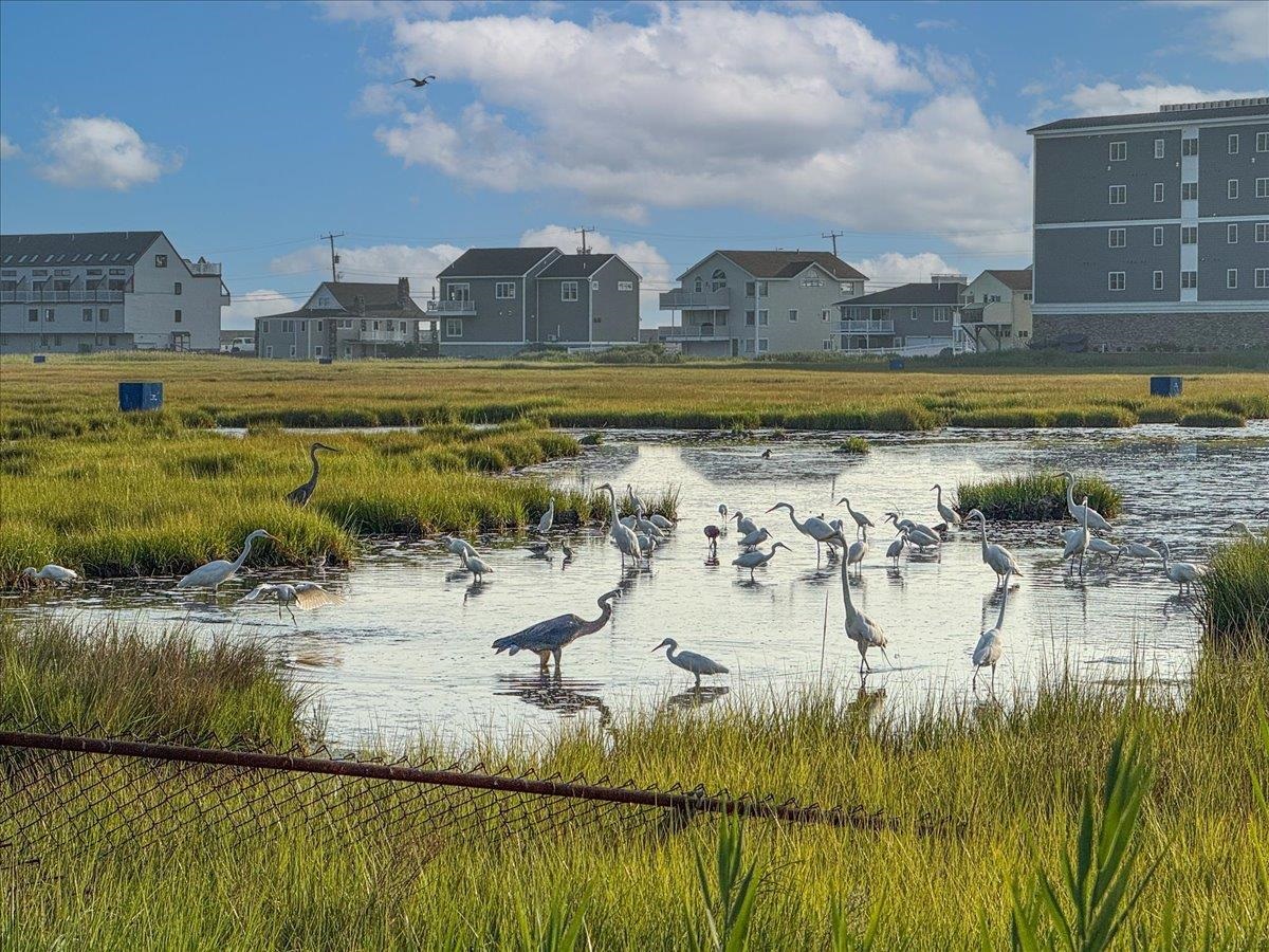 461 Ocean Boulevard, Unit B3 Hampton, NH 03842 - Photo 7 of 32