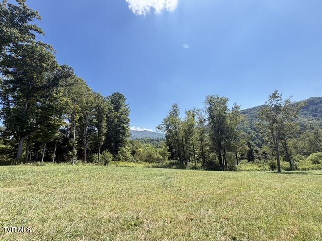 35 Cowan Town Road, Unit 35 Butler, TN 37640 - Photo 6 of 17 Lot 35