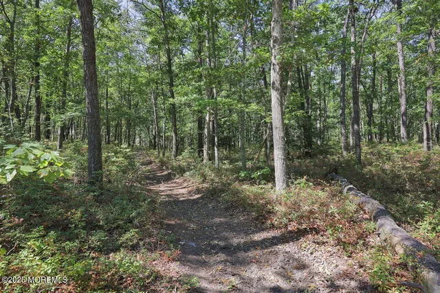 $70,000 | 0 Morris Boulevard, Bayville, NJ 08721