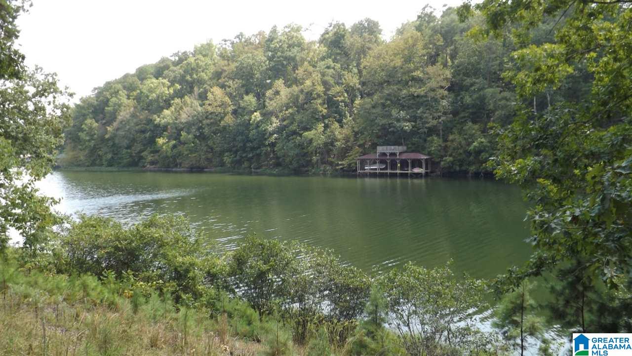 0 Lakeshore Loop, Unit 4 Oneonta, AL 35121 - Photo 16 of 20 Gallery Image 16