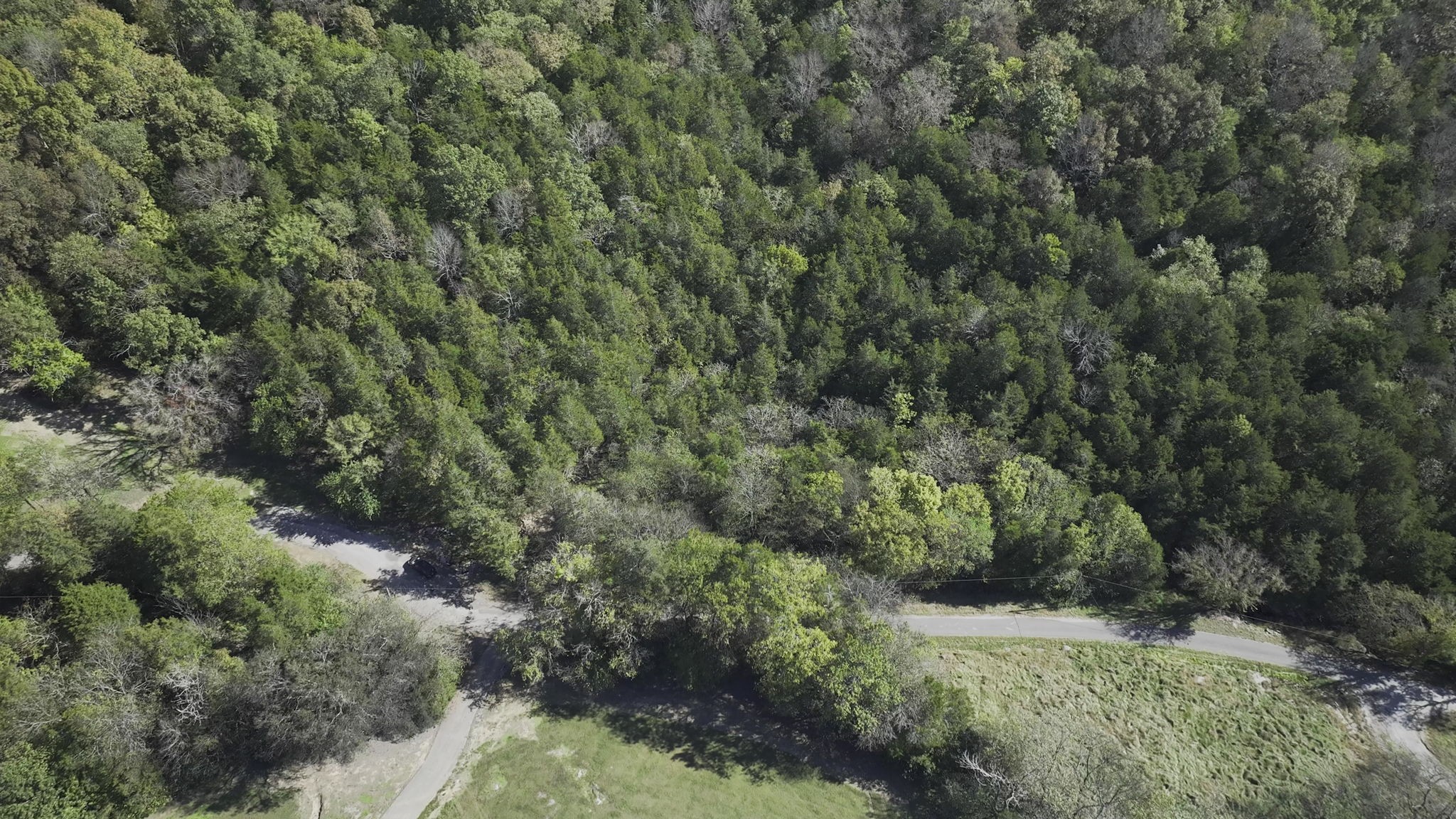 0 Winfree Road Brush Creek, TN 38547 - Photo 21 of 30 a view of a forest with lush green forest