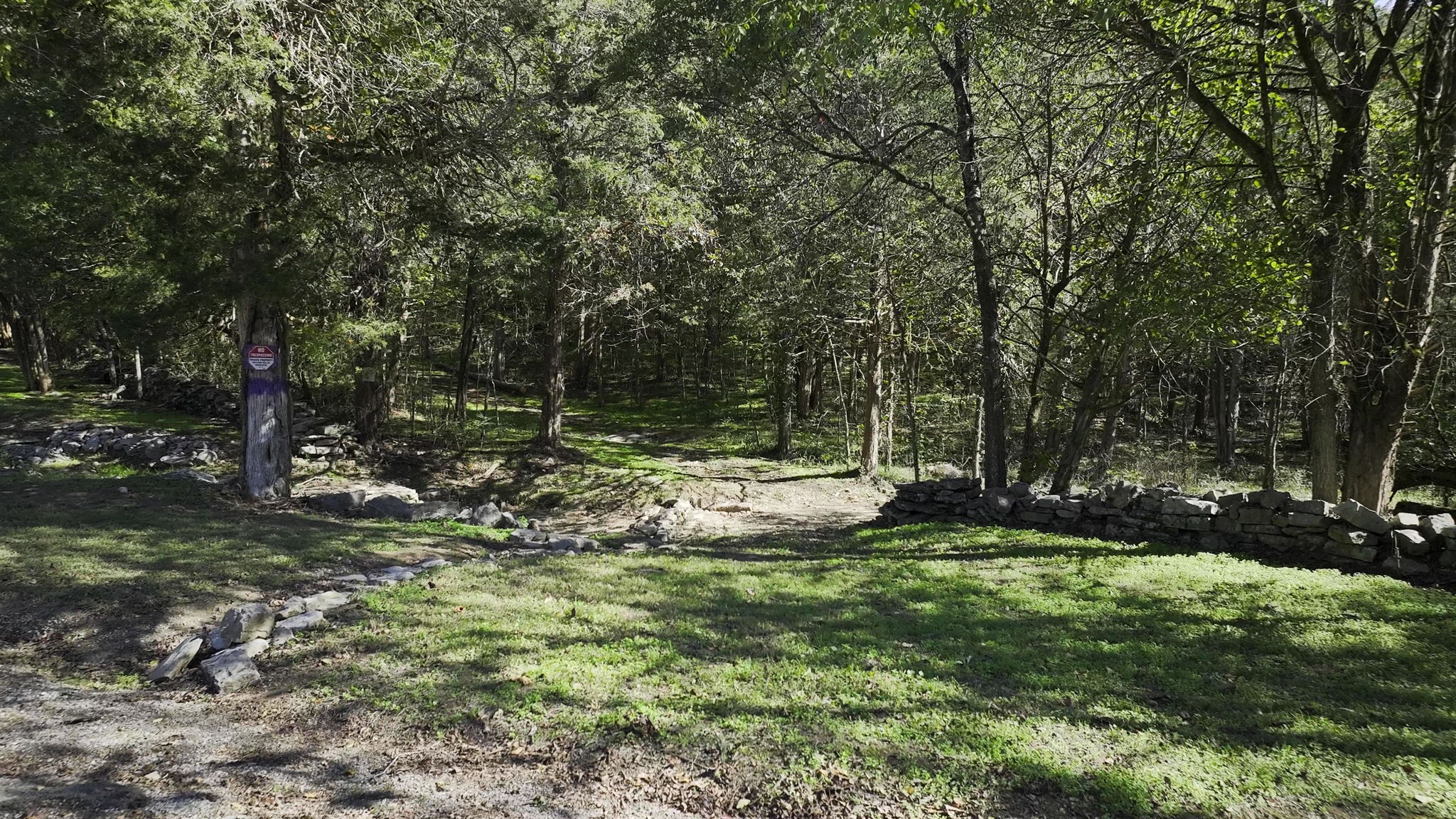0 Winfree Road Brush Creek, TN 38547 - Photo 26 of 30 a view of outdoor space and yard