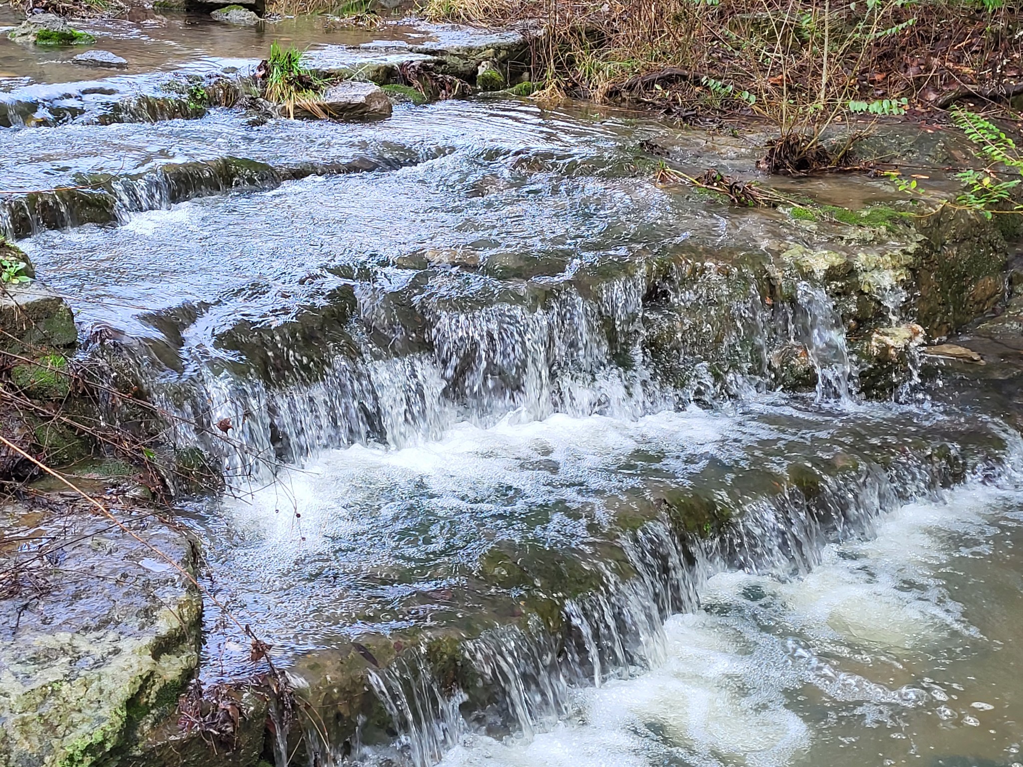0 Winfree Road Brush Creek, TN 38547 - Photo 28 of 30 a view of a yard with large trees