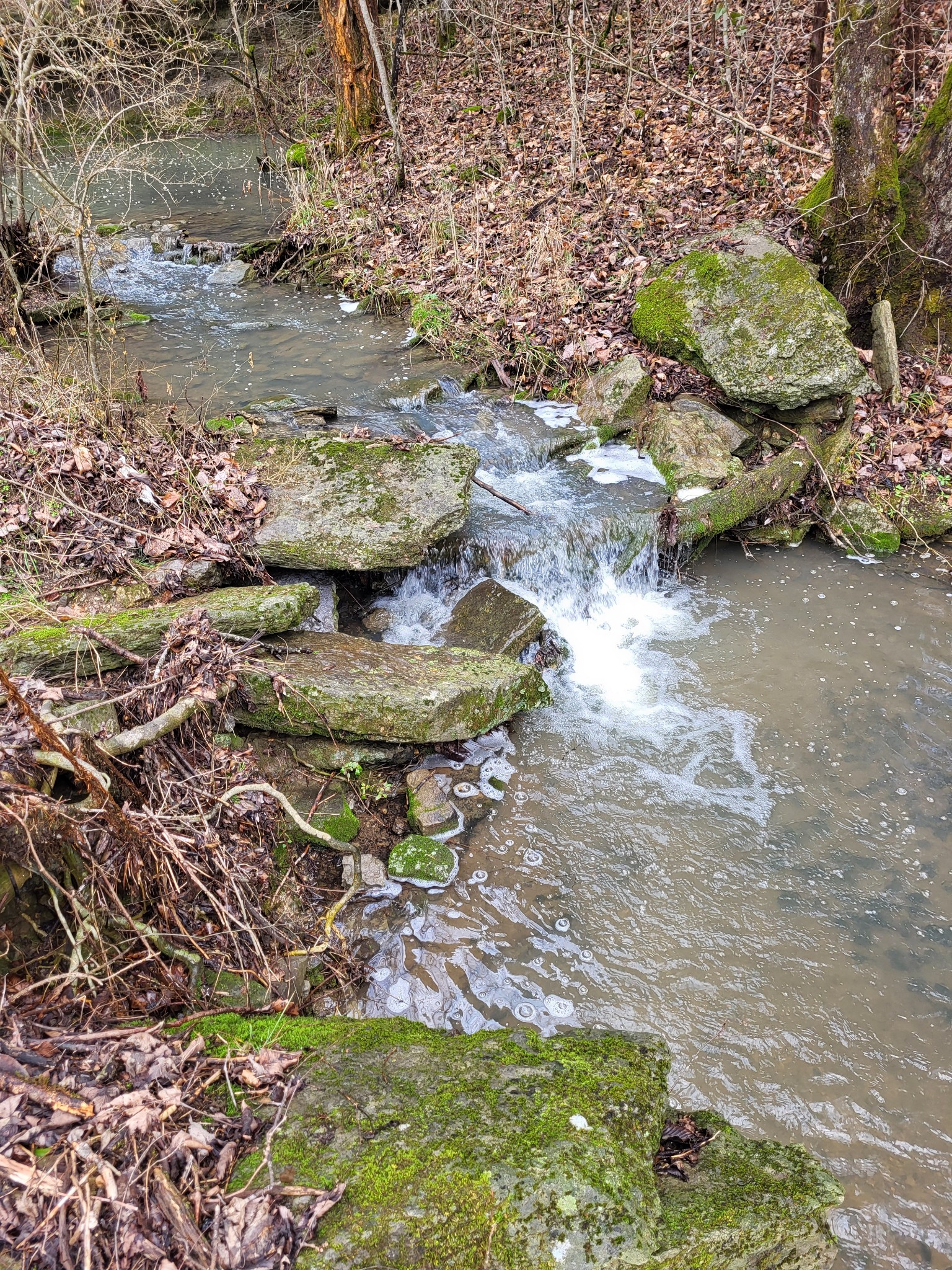 0 Winfree Road Brush Creek, TN 38547 - Photo 29 of 30 a view of swimming pool with a yard
