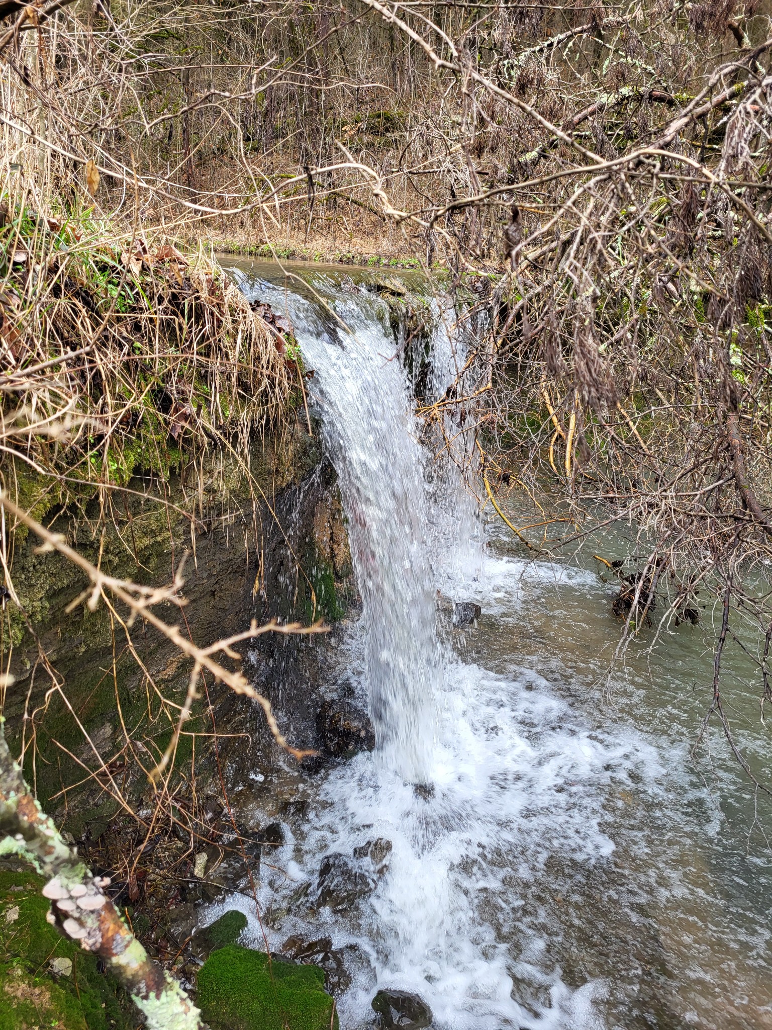 0 Winfree Road Brush Creek, TN 38547 - Photo 30 of 30 a view of under construction area