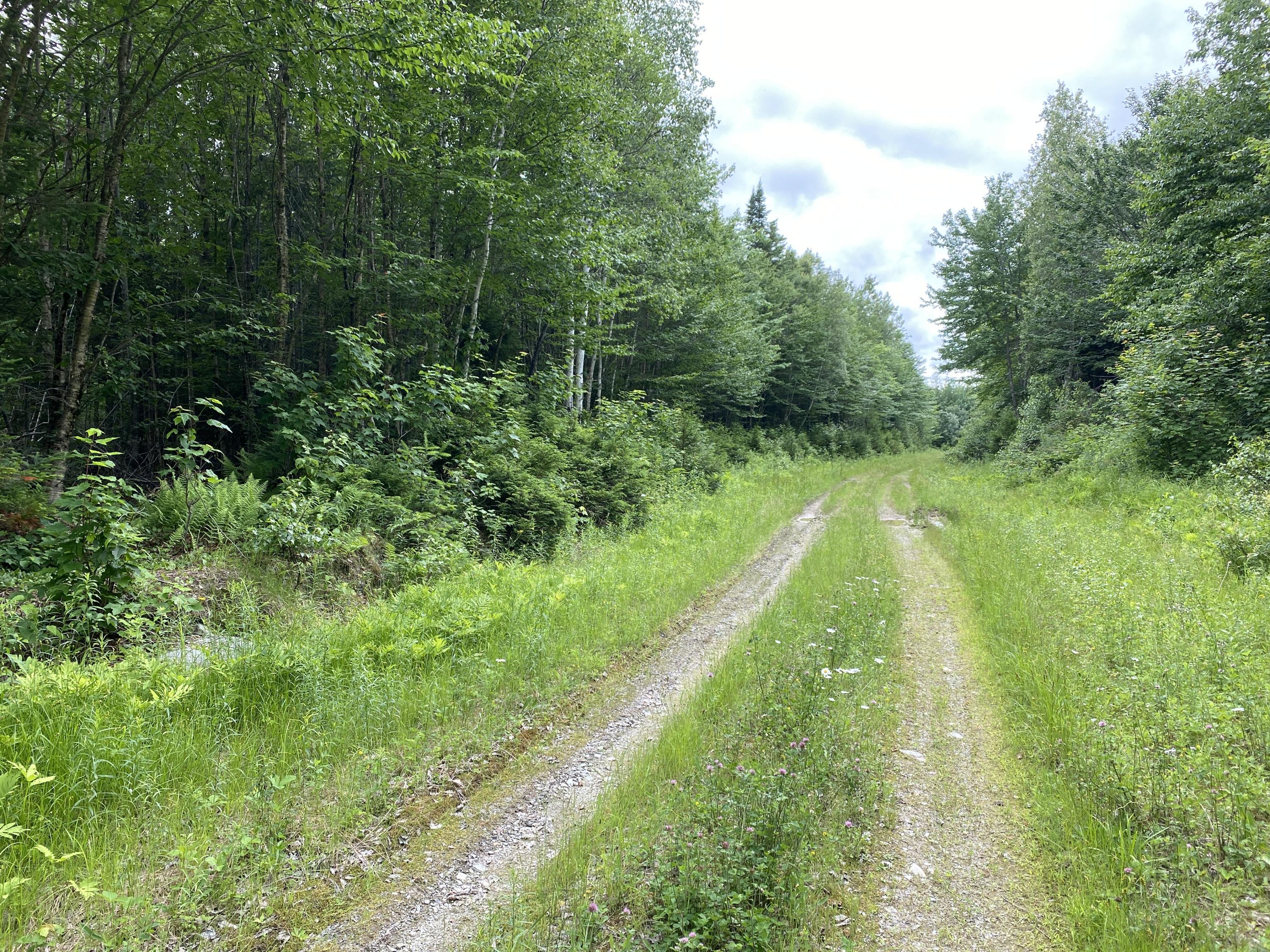 Lot 10 Averill Road Springfield, ME 04487 - Photo 16 of 18 IMG_0636