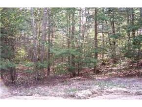 L61 Windsor Way Barnstead, NH 03225 - Photo 1 of 1