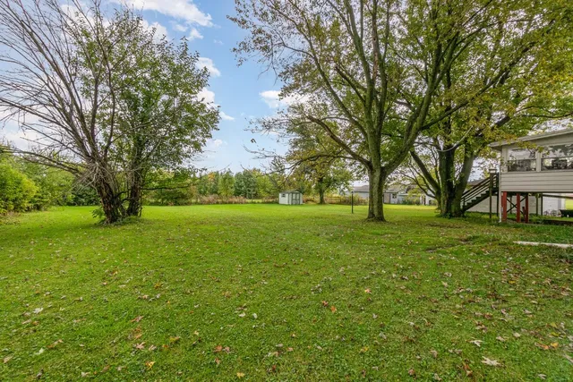 a view of a trees with a big yard