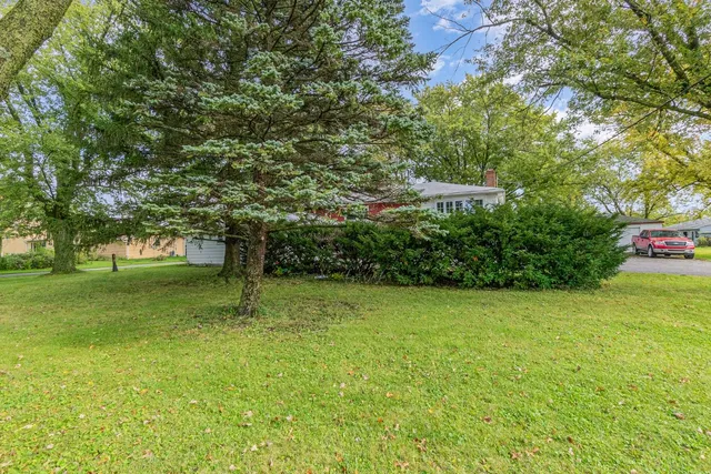 a view of garden with trees