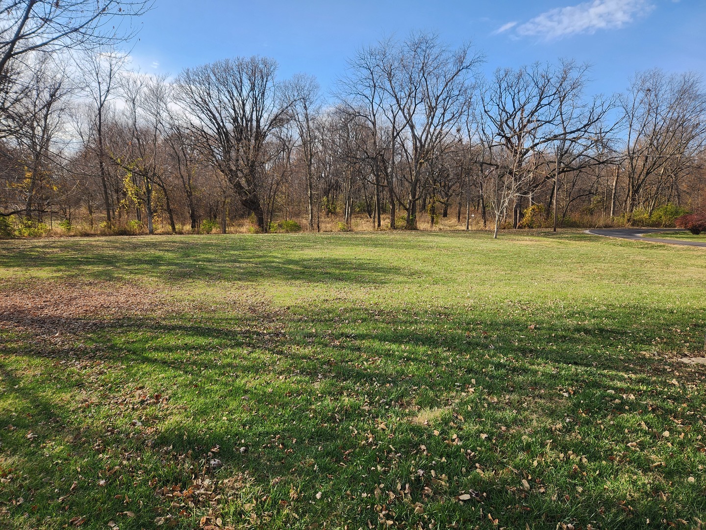 302 South Walnut Street Colfax, IL 61728 - Photo 2 of 25 a view of field with trees