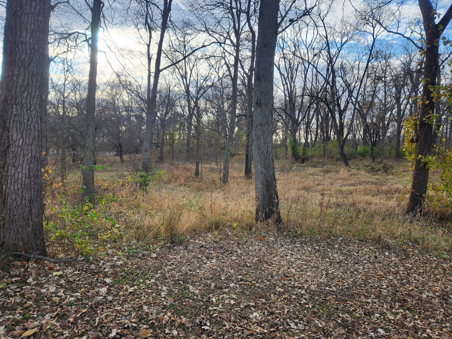 302 South Walnut Street Colfax, IL 61728 - Photo 3 of 25 a backyard of a house with lots of green space