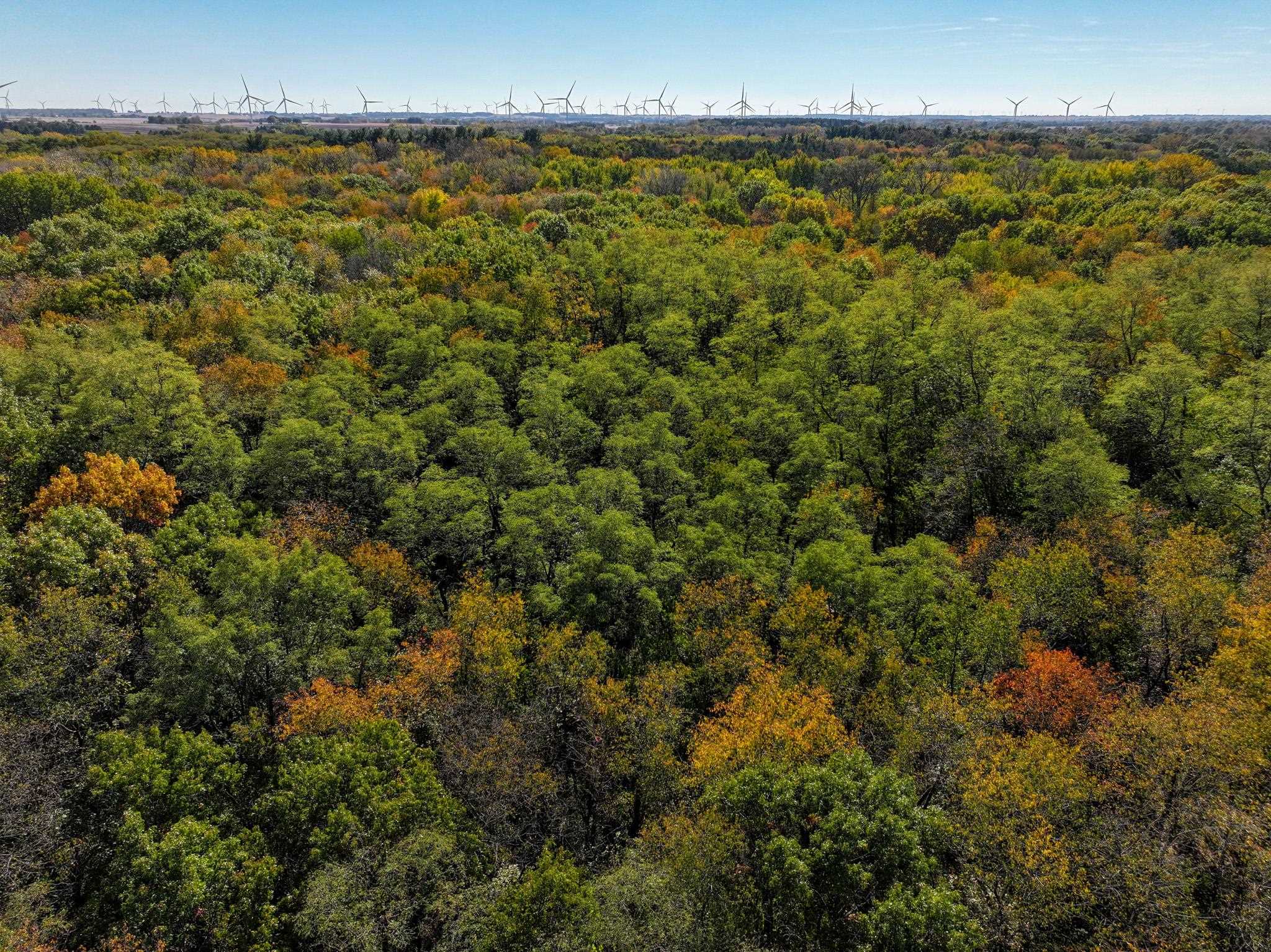 802 Union Road Amboy, IL 61310 - Photo 54 of 63