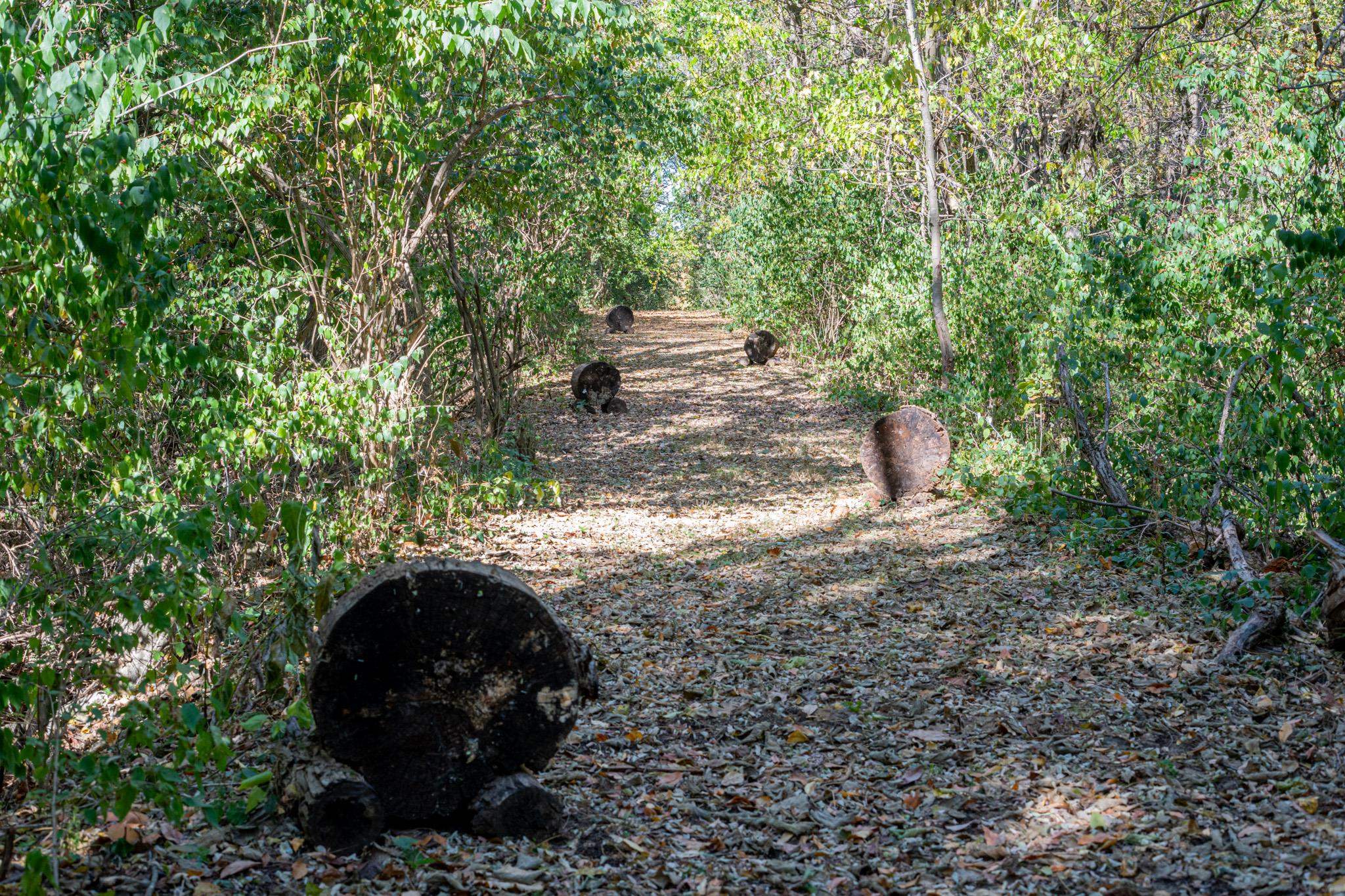 802 Union Road Amboy, IL 61310 - Photo 55 of 63