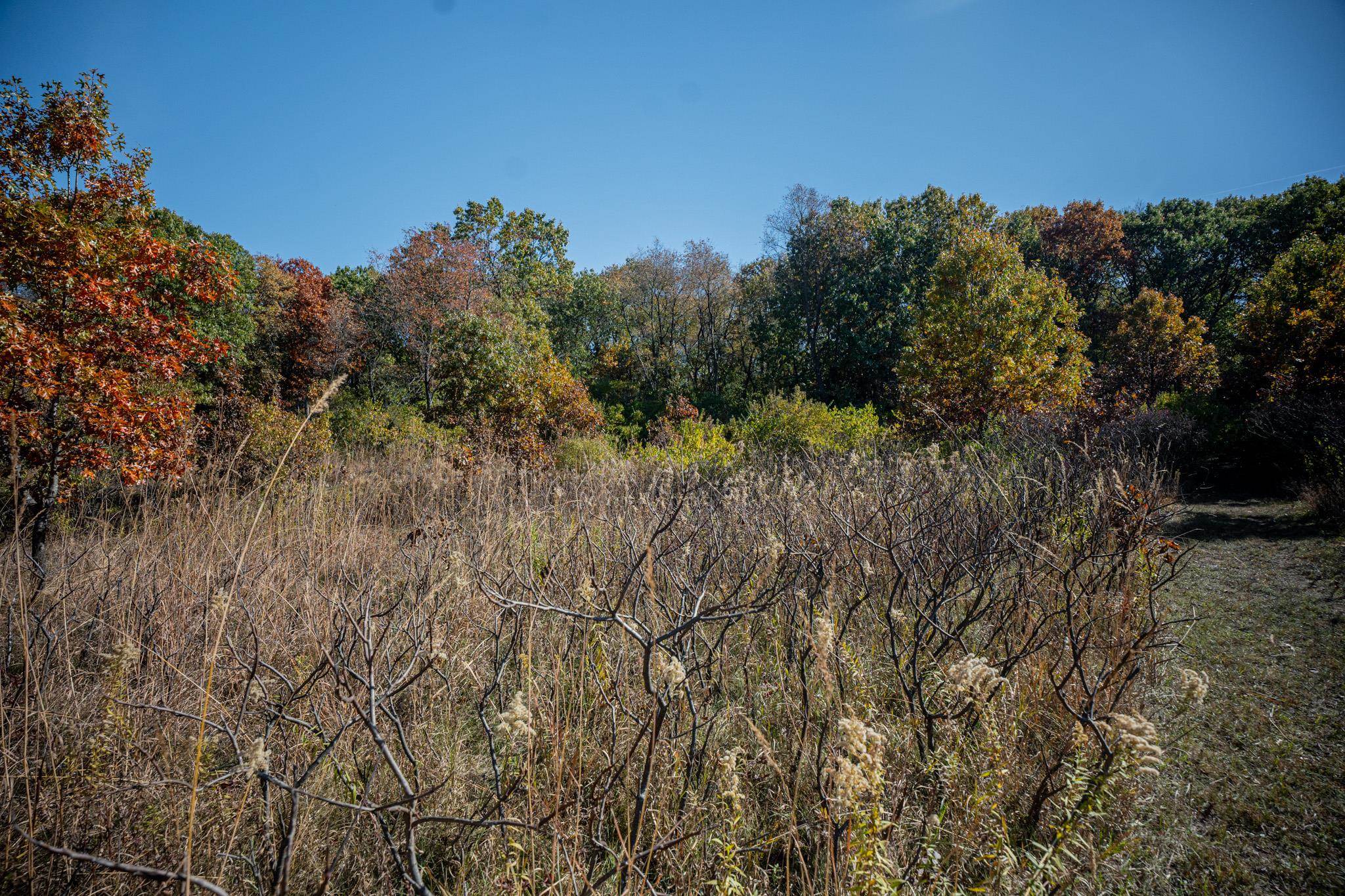 802 Union Road Amboy, IL 61310 - Photo 56 of 63