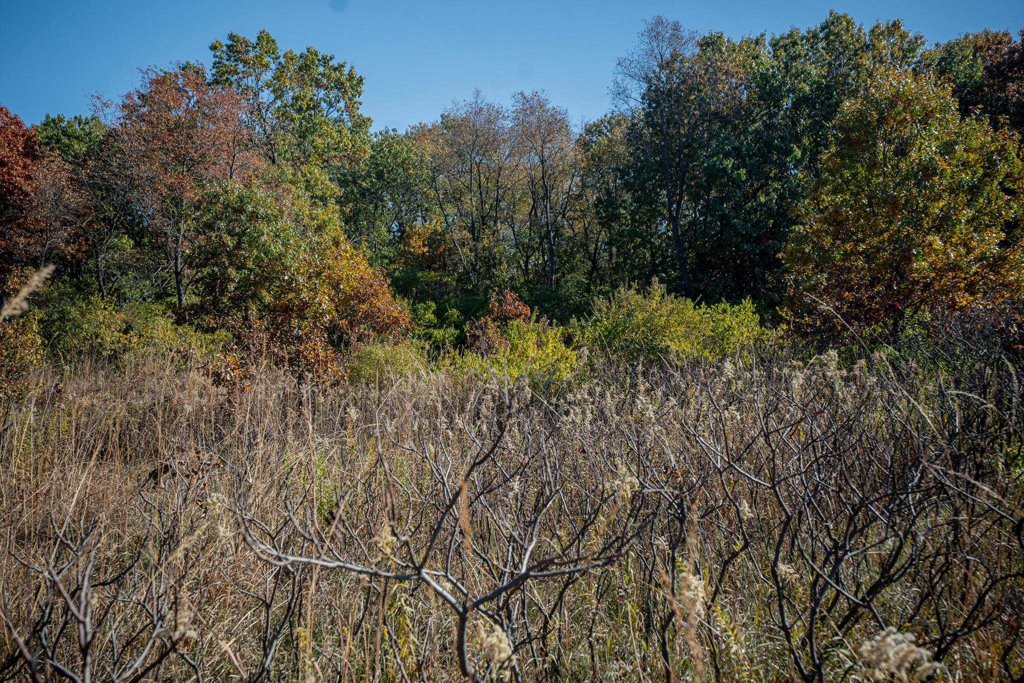 802 Union Road Amboy, IL 61310 - Photo 57 of 63