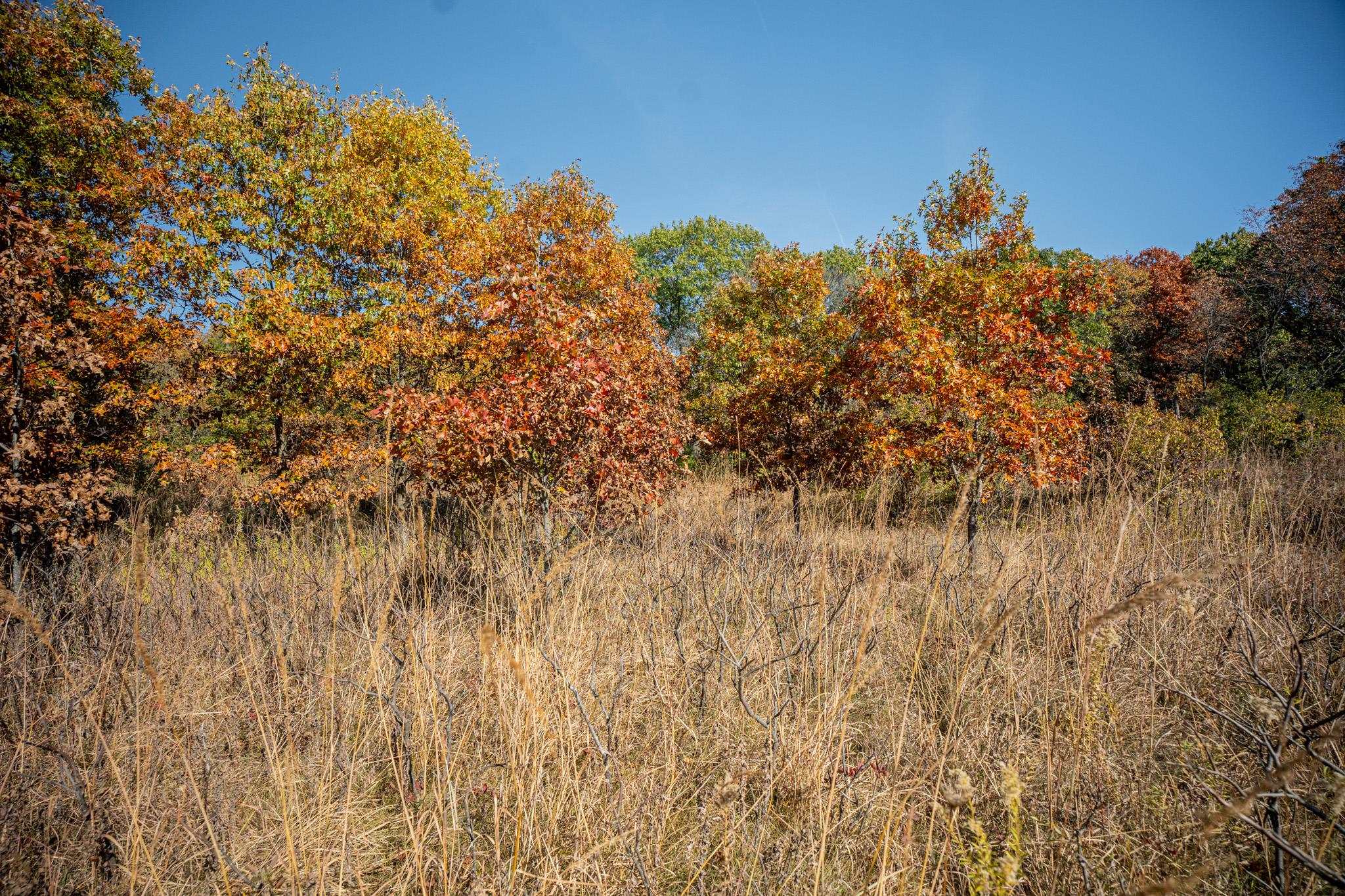 802 Union Road Amboy, IL 61310 - Photo 58 of 63