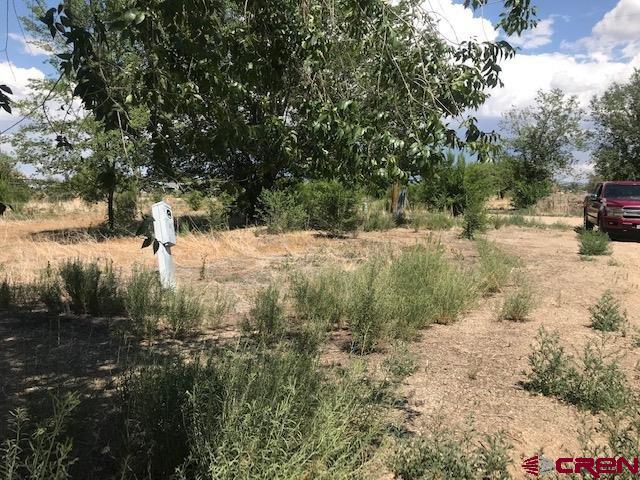 23710 Rd F 5 Cortez, CO 81321 - Photo 3 of 15 Gallery Image 3