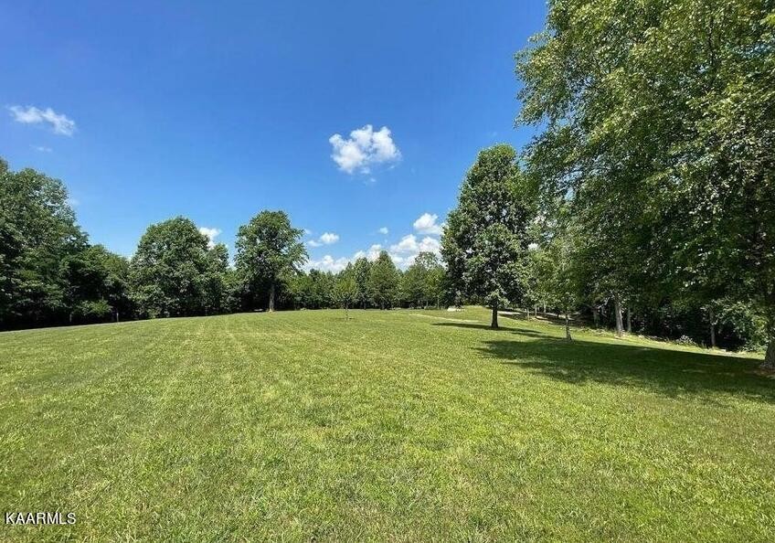 0 Ted Dorris Road Goodlettsville, TN 37072 - Photo 5 of 8 Gallery Image 5