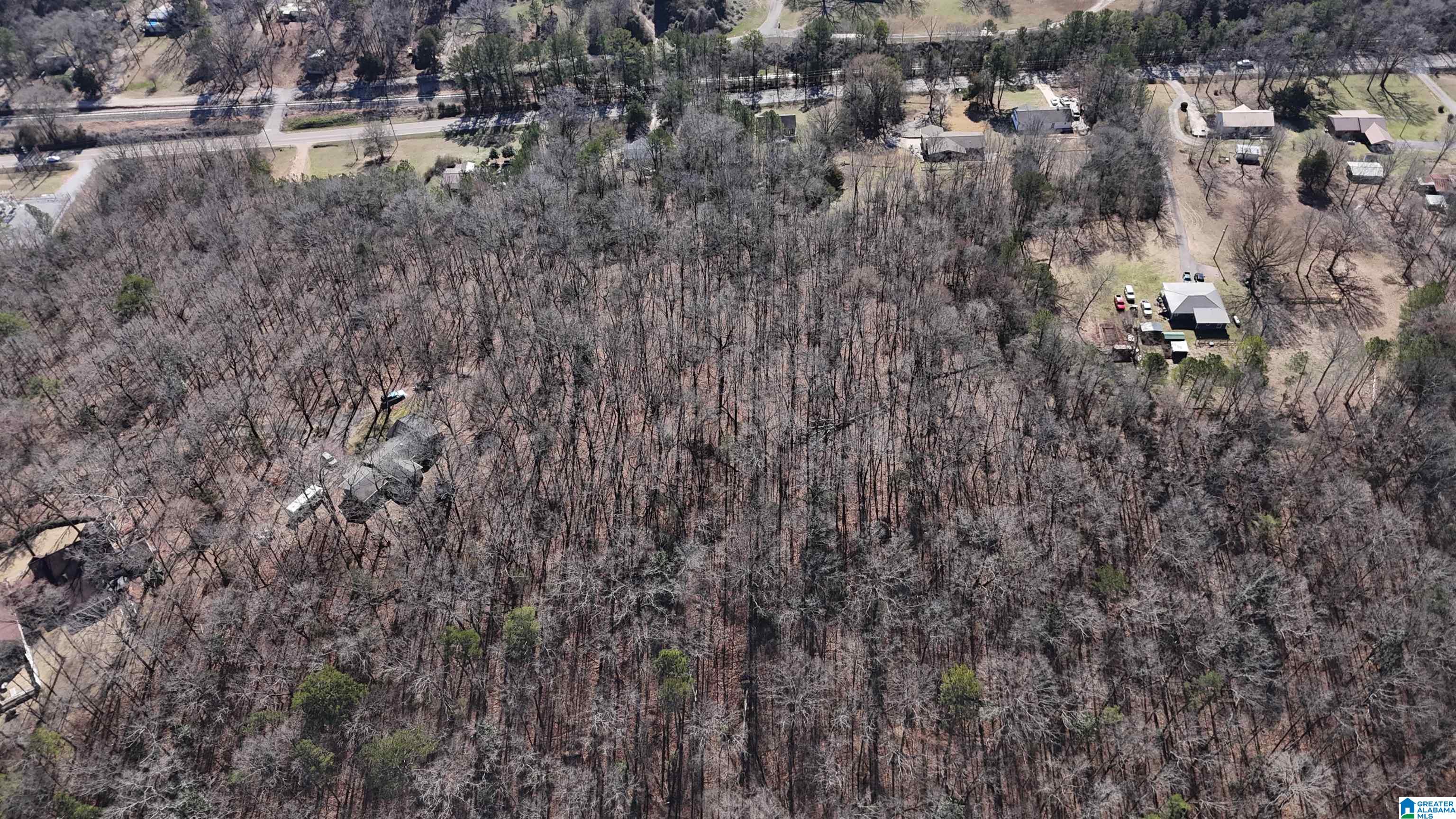 1059 Spring Creek Road, Unit 275220001034 013 Montevallo, AL 35115 - Photo 6 of 14
