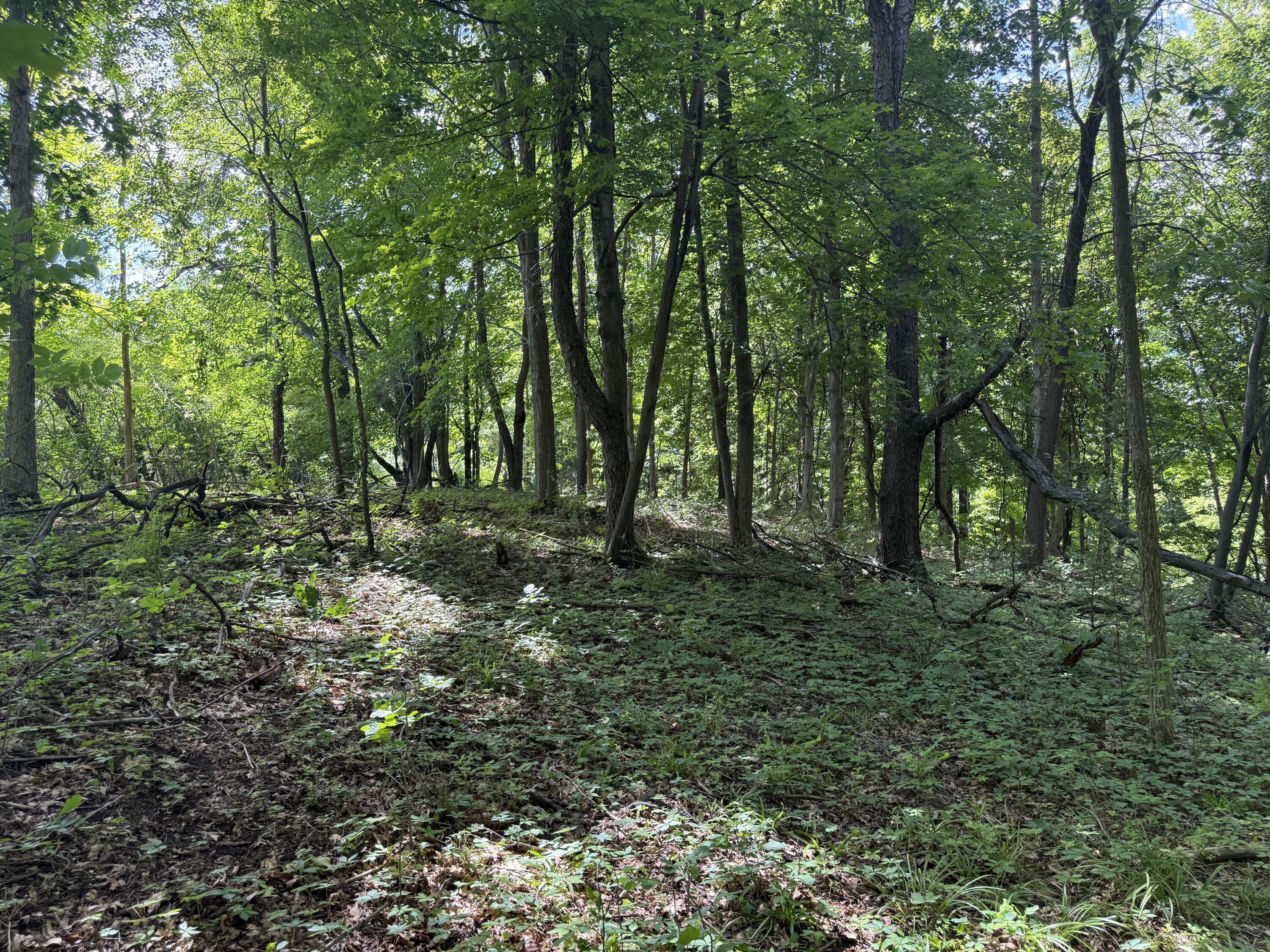 Vl Tamarack Road Pittsford, MI 49271 - Photo 13 of 24 H29