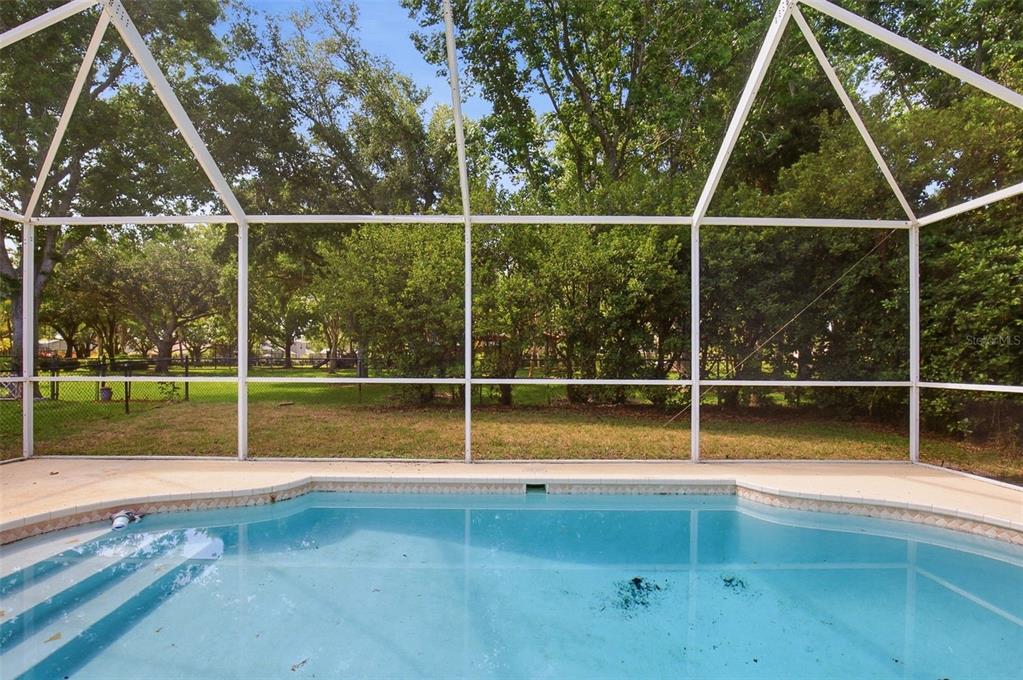 10653 Firebrick Court Trinity, FL 34655 - Photo 38 of 44
