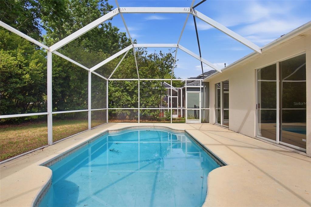 10653 Firebrick Court Trinity, FL 34655 - Photo 39 of 44