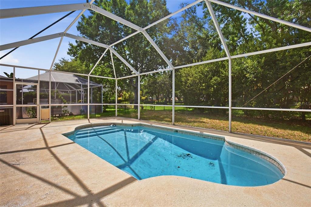 10653 Firebrick Court Trinity, FL 34655 - Photo 42 of 44
