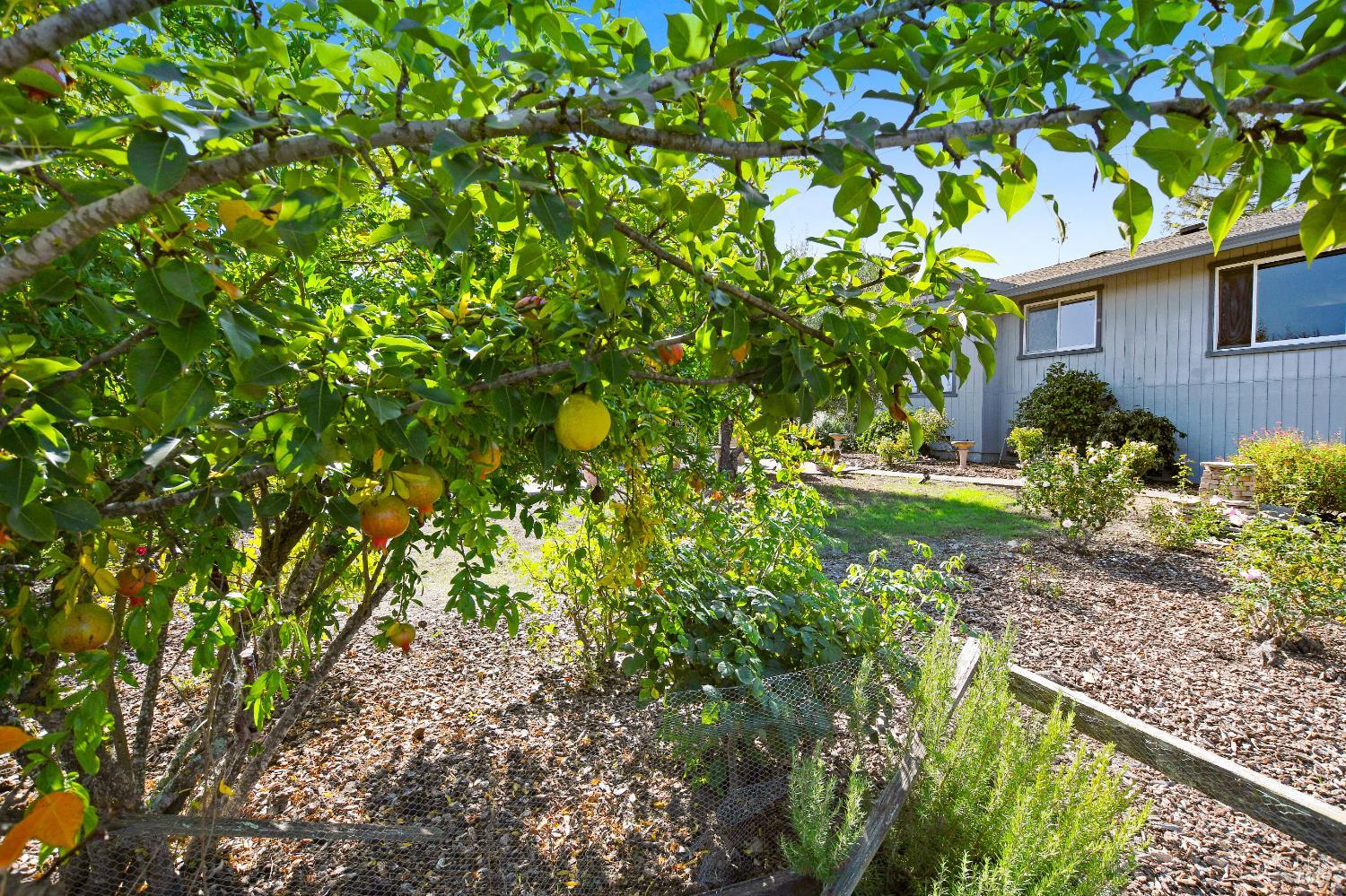 4436 Grange Road Santa Rosa, CA 95404 - Photo 45 of 55