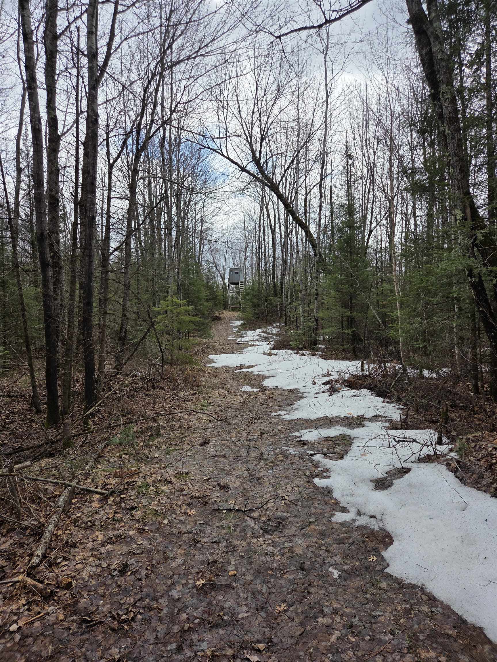 County Road Amberg, WI 54102 - Photo 1 of 11