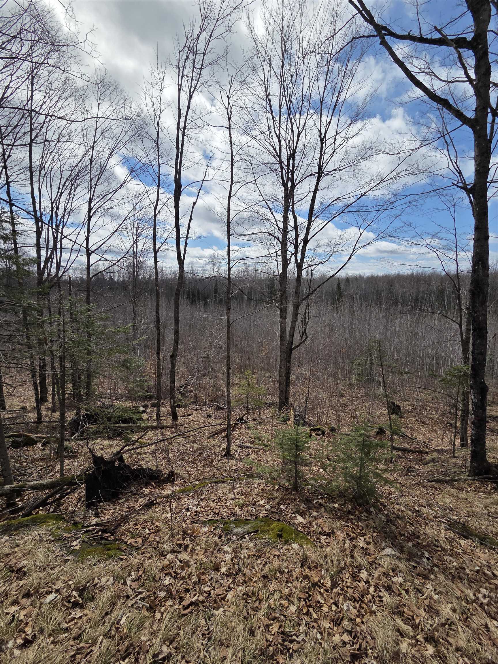 County Road Amberg, WI 54102 - Photo 11 of 11