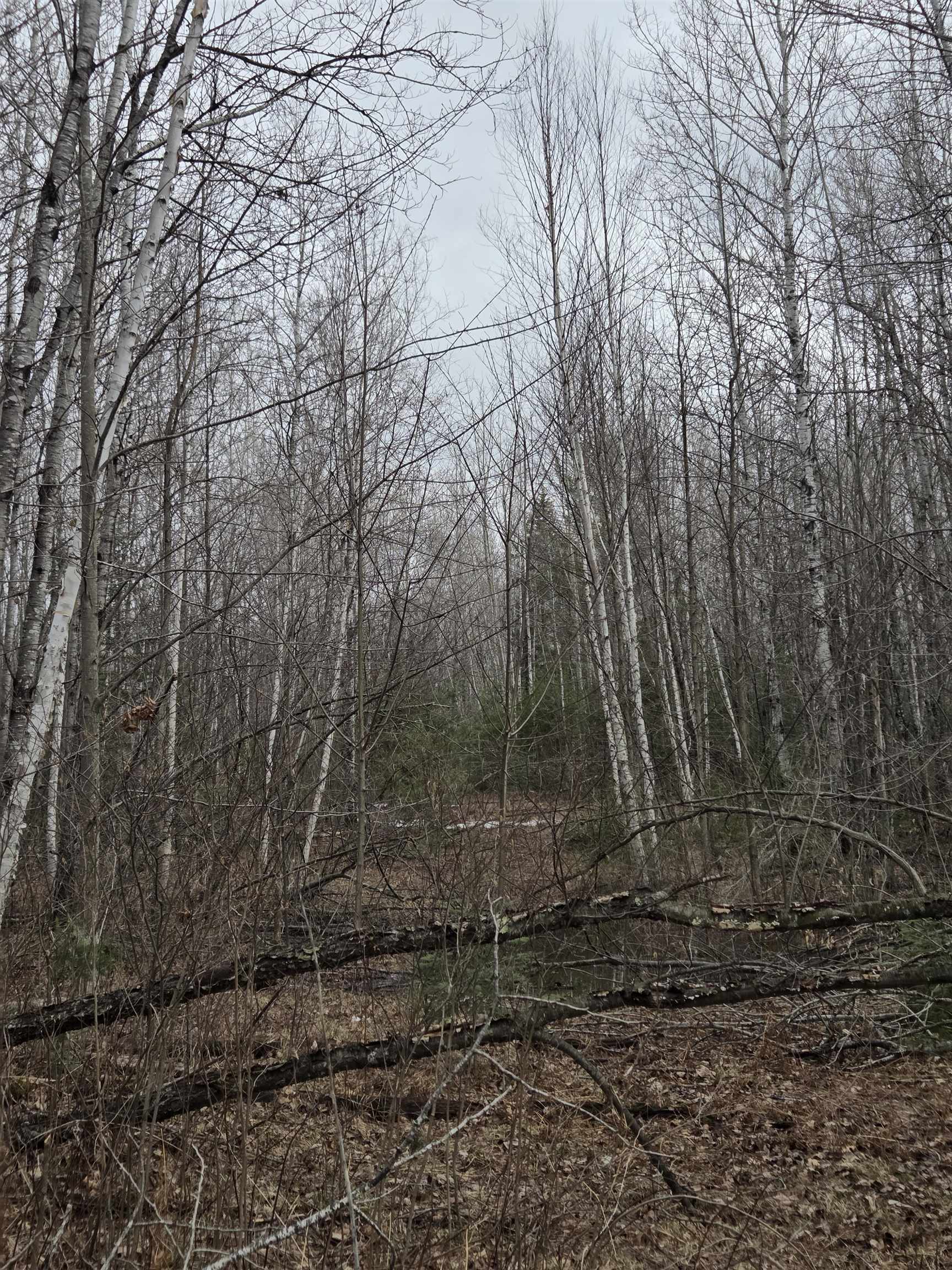 County Road Amberg, WI 54102 - Photo 2 of 11