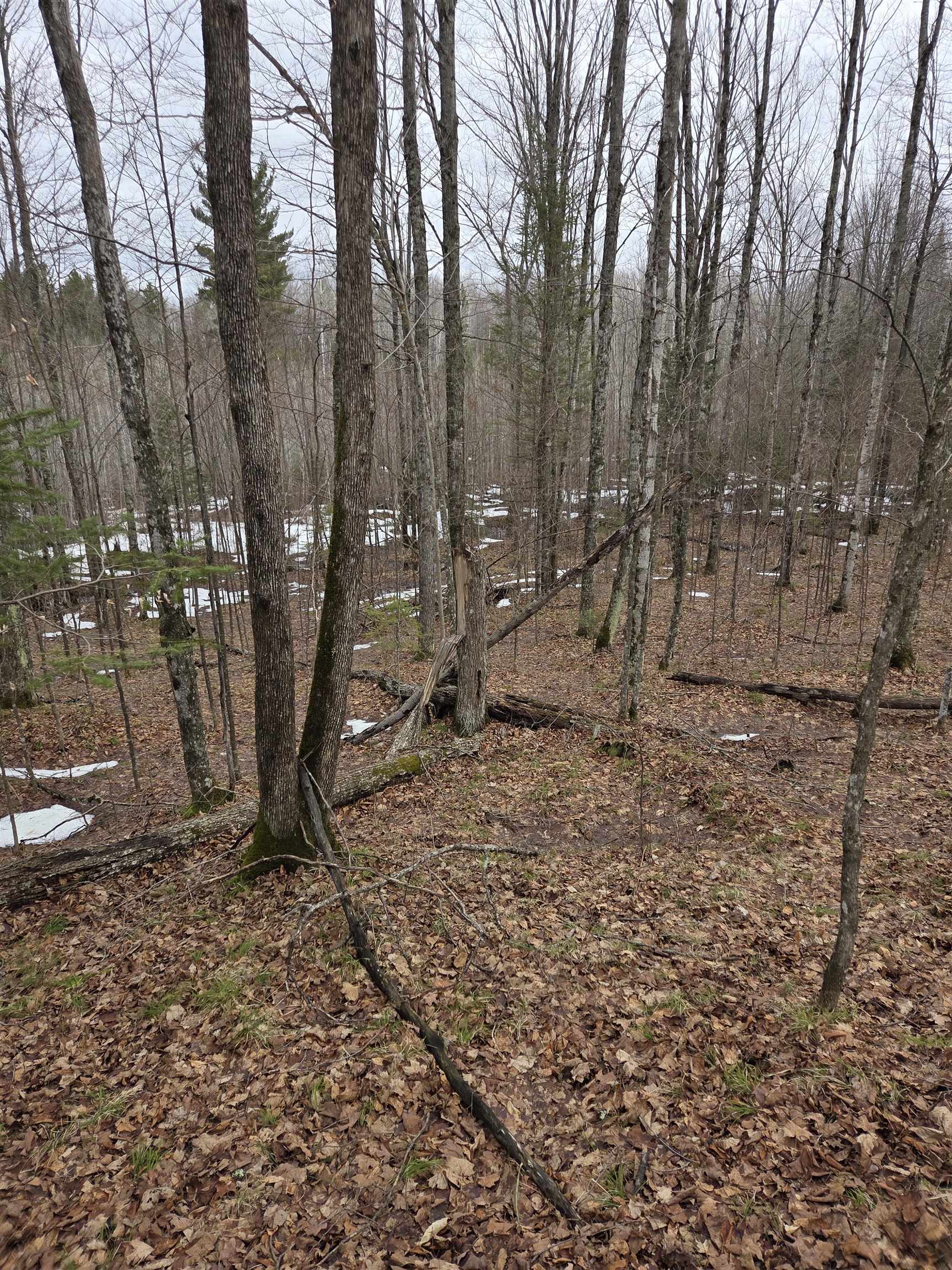 County Road Amberg, WI 54102 - Photo 3 of 11