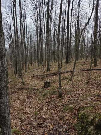 $399,000 | County Road, Amberg, WI 54102
