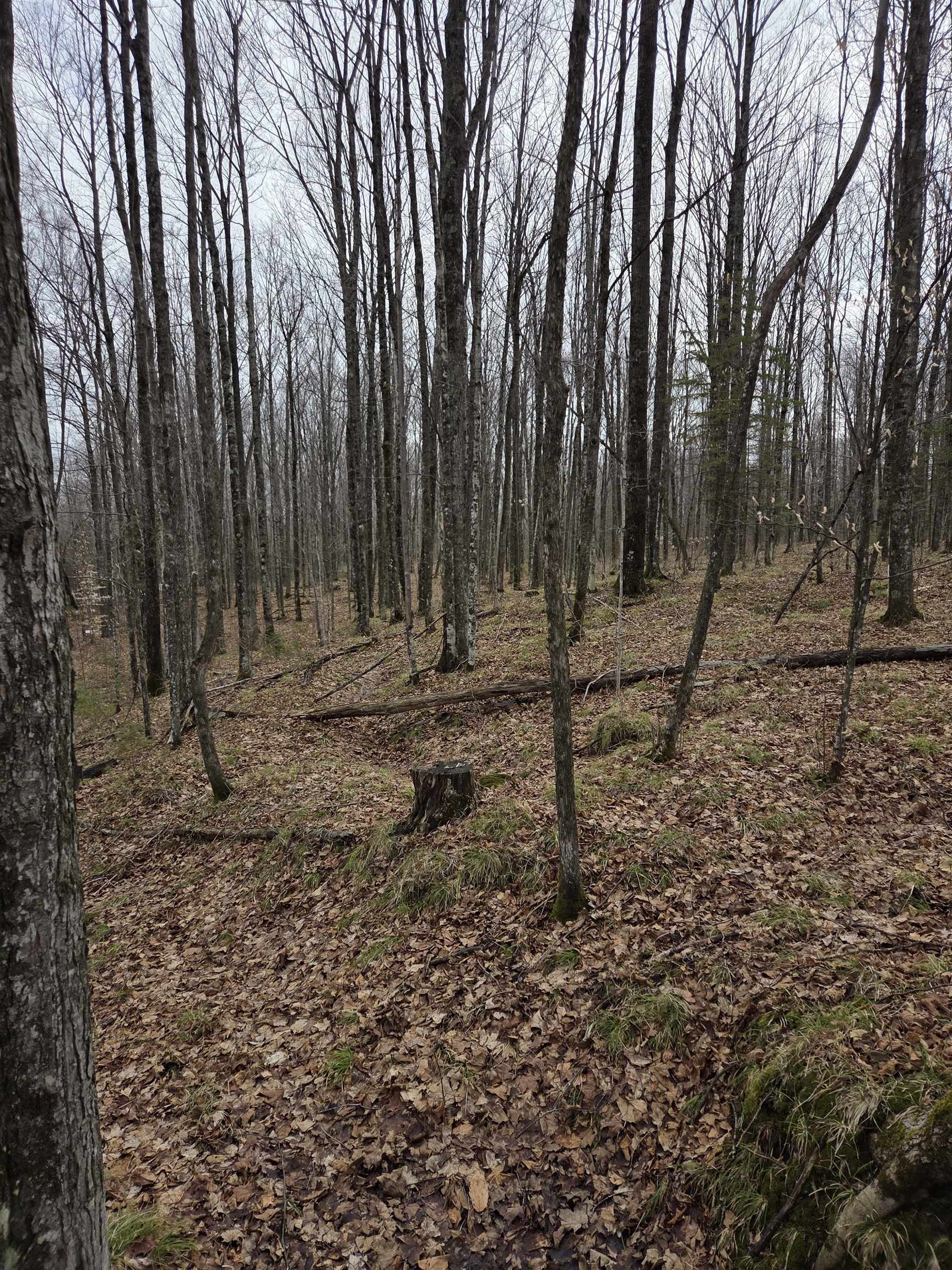 County Road Amberg, WI 54102 - Photo 4 of 11