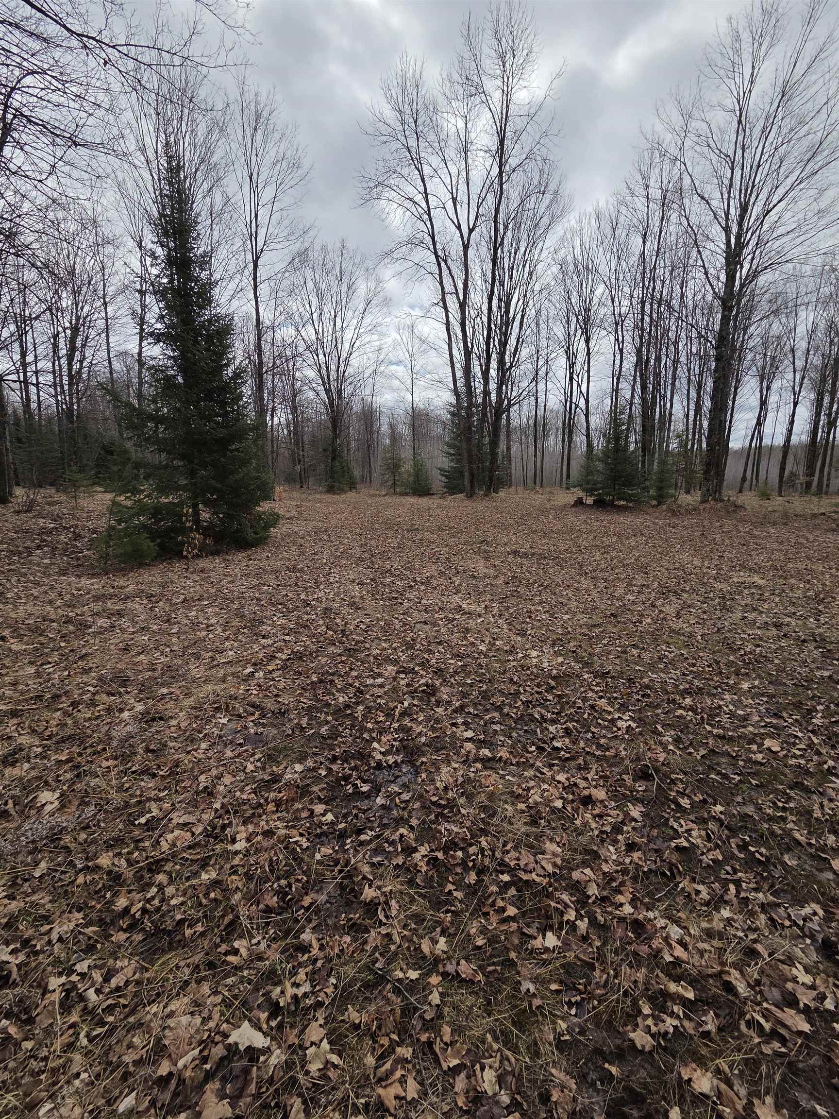 County Road Amberg, WI 54102 - Photo 5 of 11