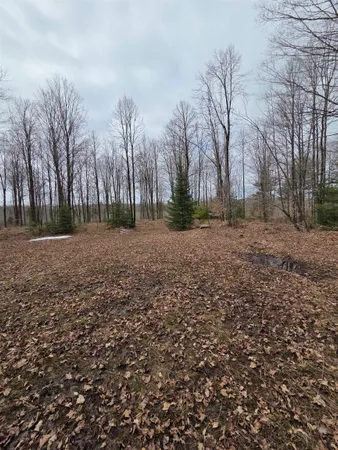 $399,000 | County Road, Amberg, WI 54102