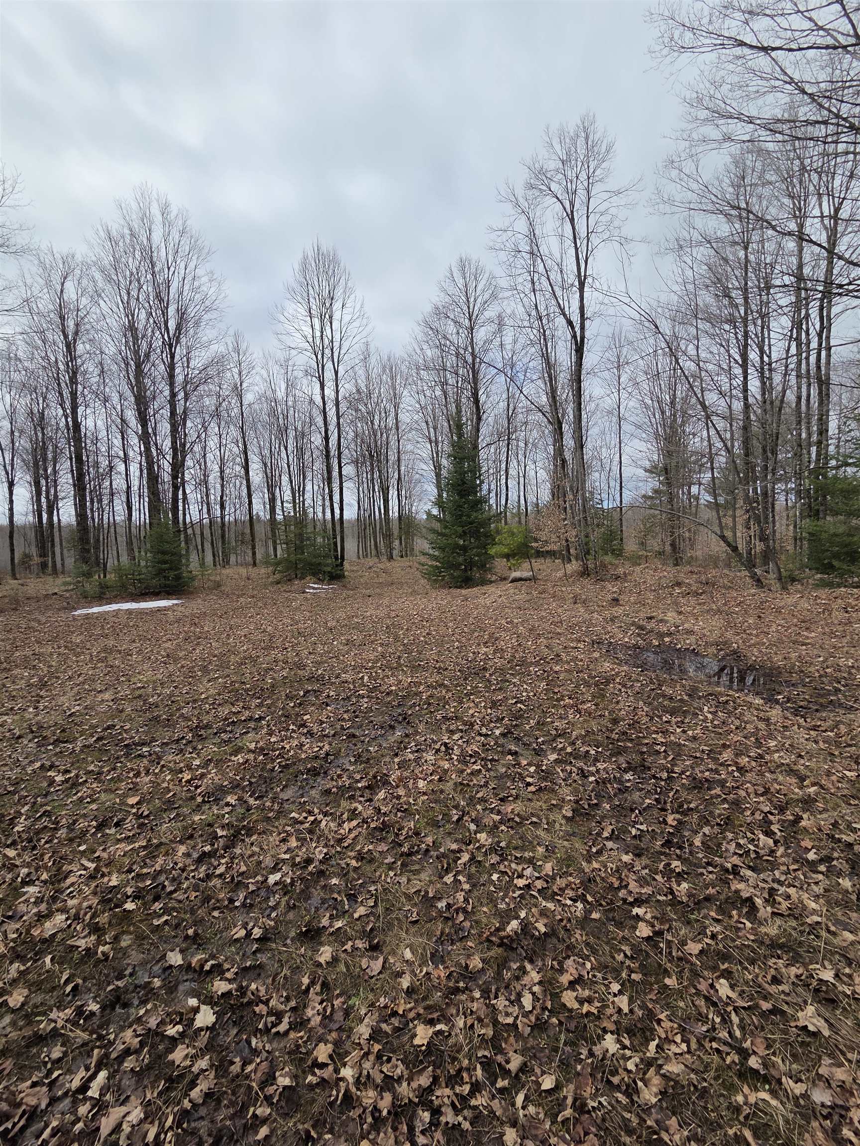 County Road Amberg, WI 54102 - Photo 6 of 11