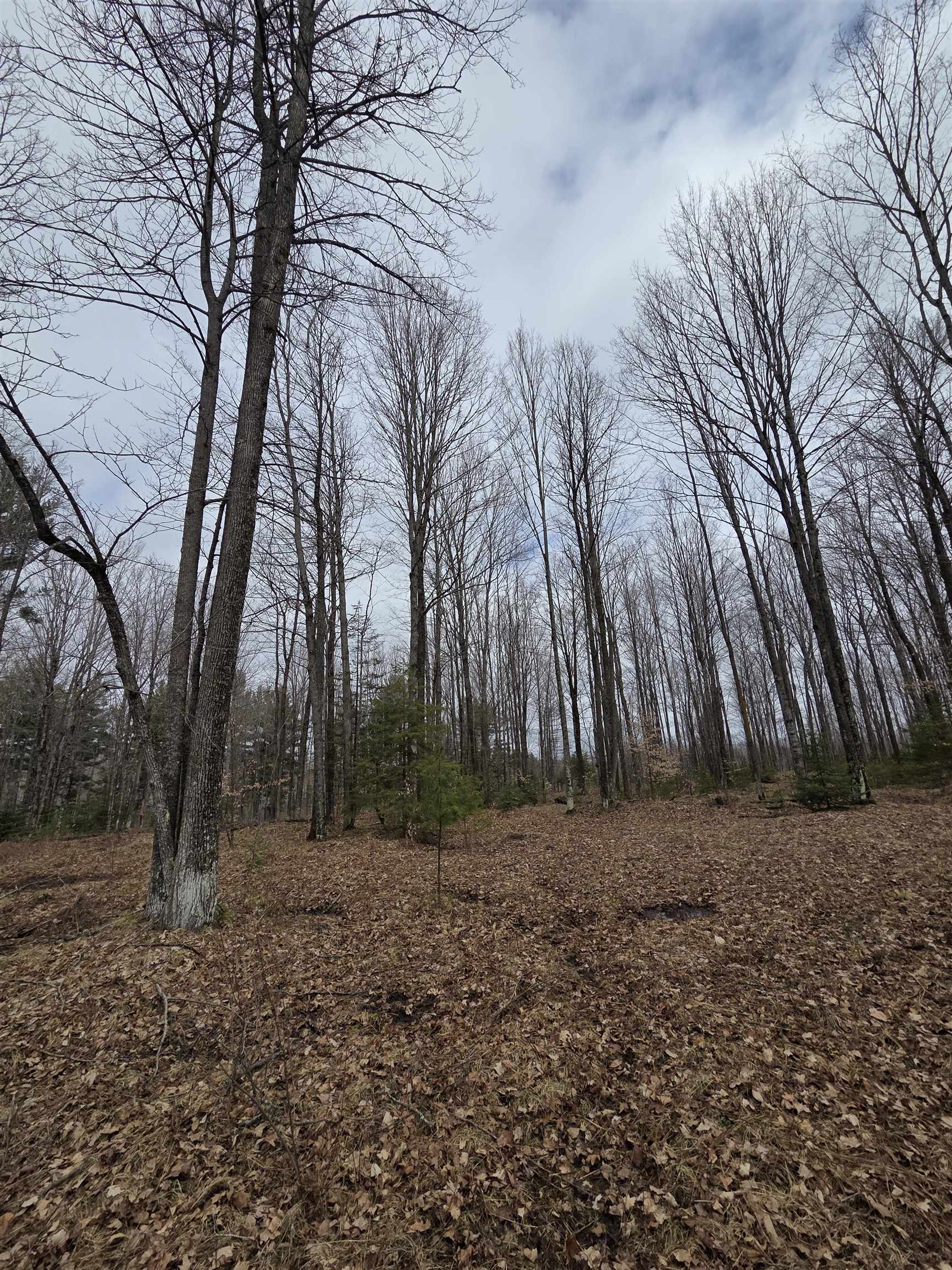 County Road Amberg, WI 54102 - Photo 7 of 11