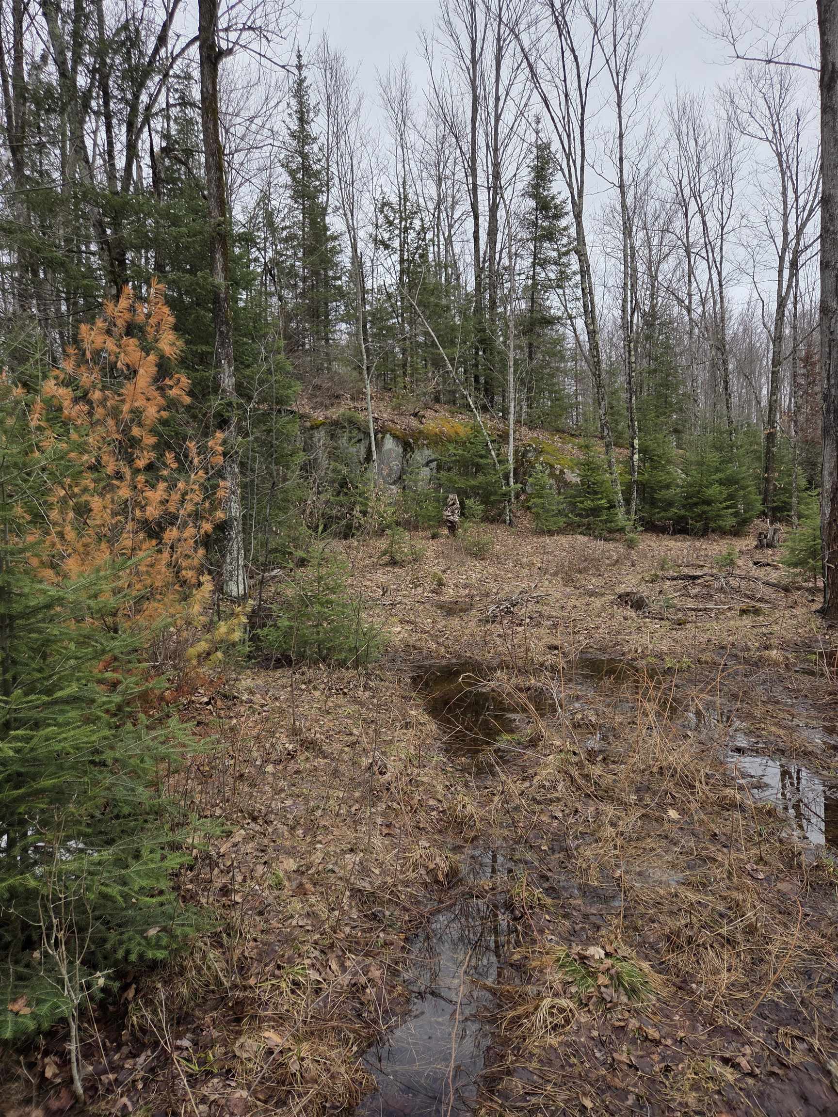 County Road Amberg, WI 54102 - Photo 8 of 11